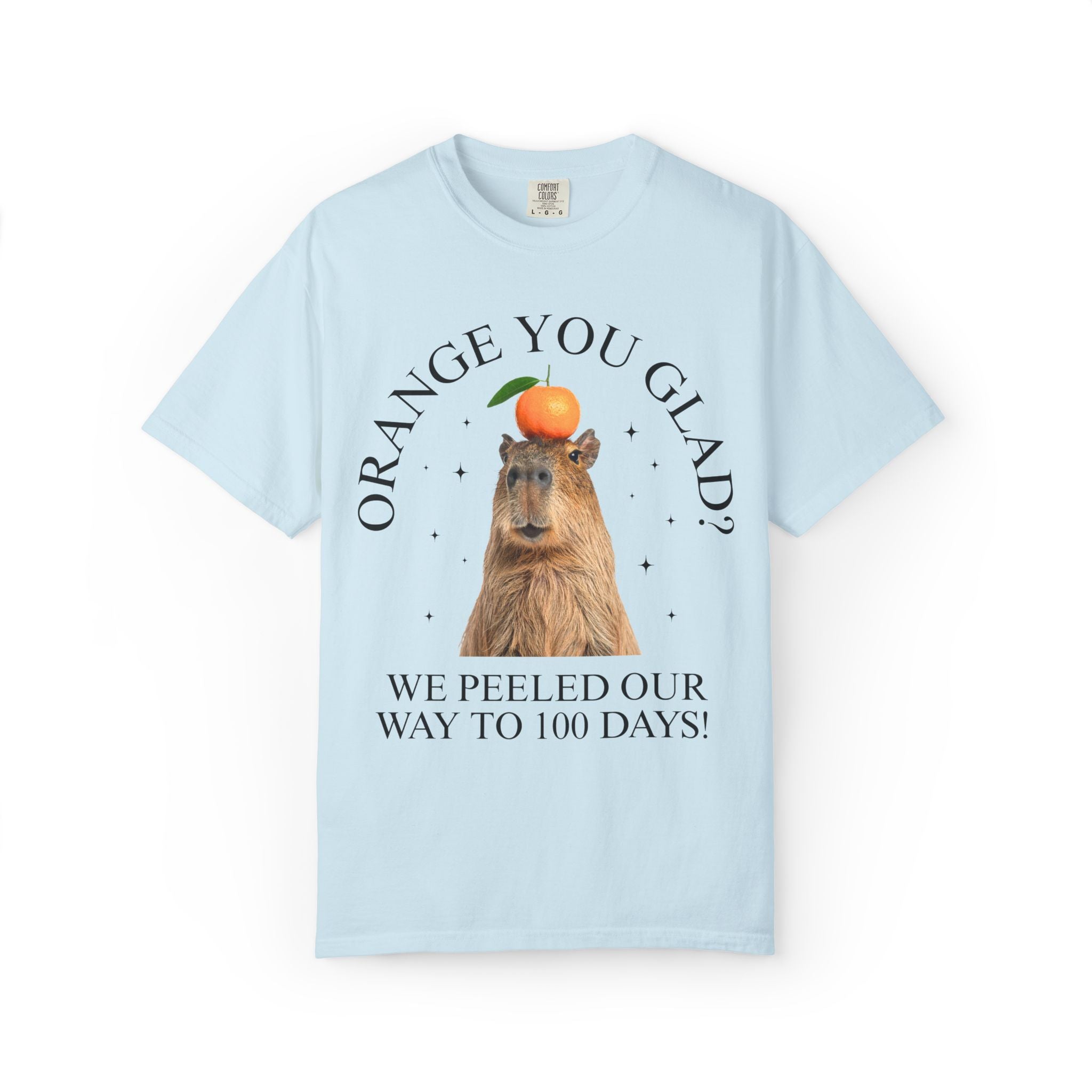 100 Days of School Animal Lover Tee Shirt with Funny Capybara Balancing an Orange, Silly Goblincore Weirdcore Tee, Matching Teacher Tee - Opal and June
