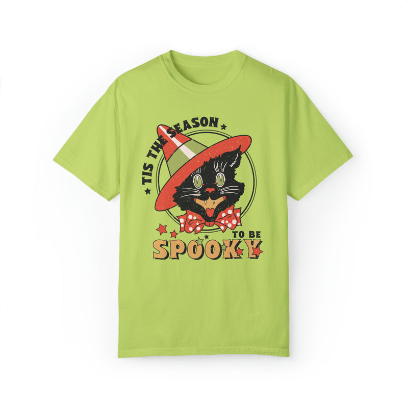 Punny Halloween Shirt with Witchy Cat and Stars: Have A Gourd Night