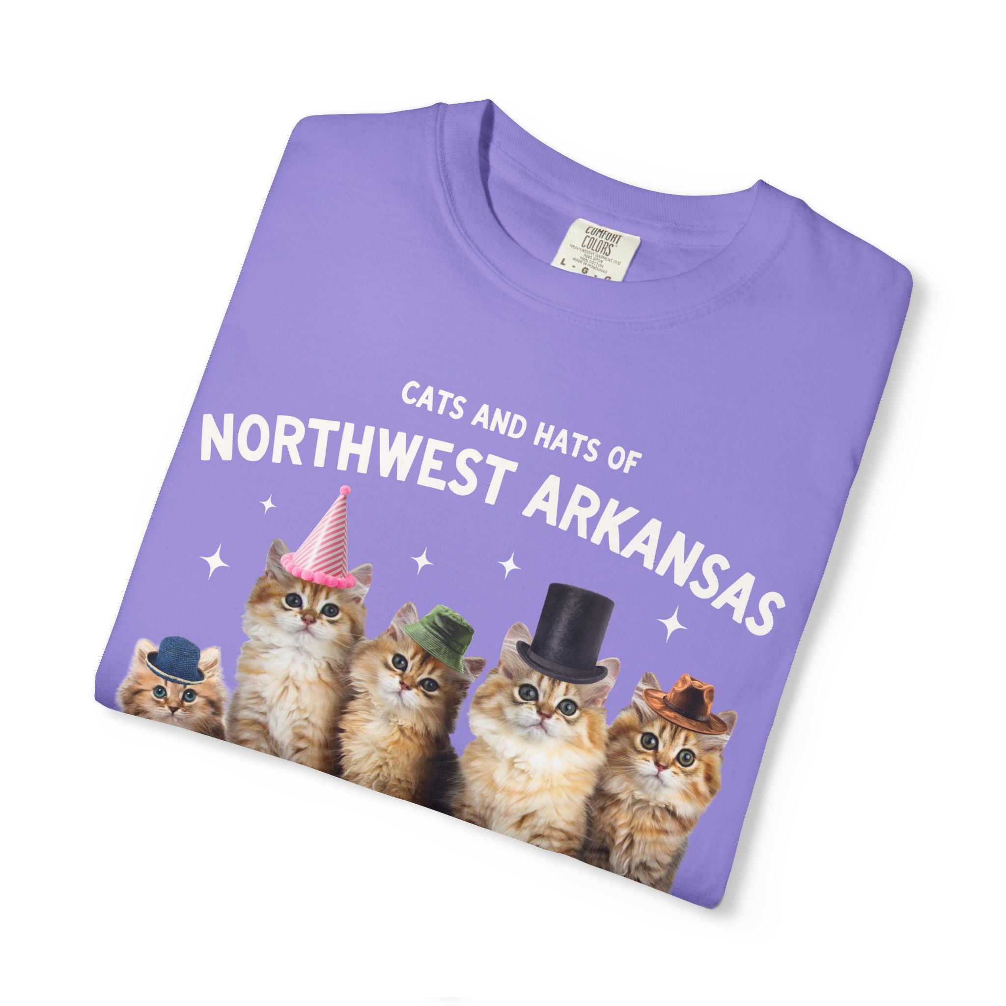 Cats and Hats of Northwest Arkansas: Funny Dreamcore Cat T-Shirt for Friend Living in Northwest Arkansas, Fayetteville Bentonville Rogers Eureka Springs Tee
