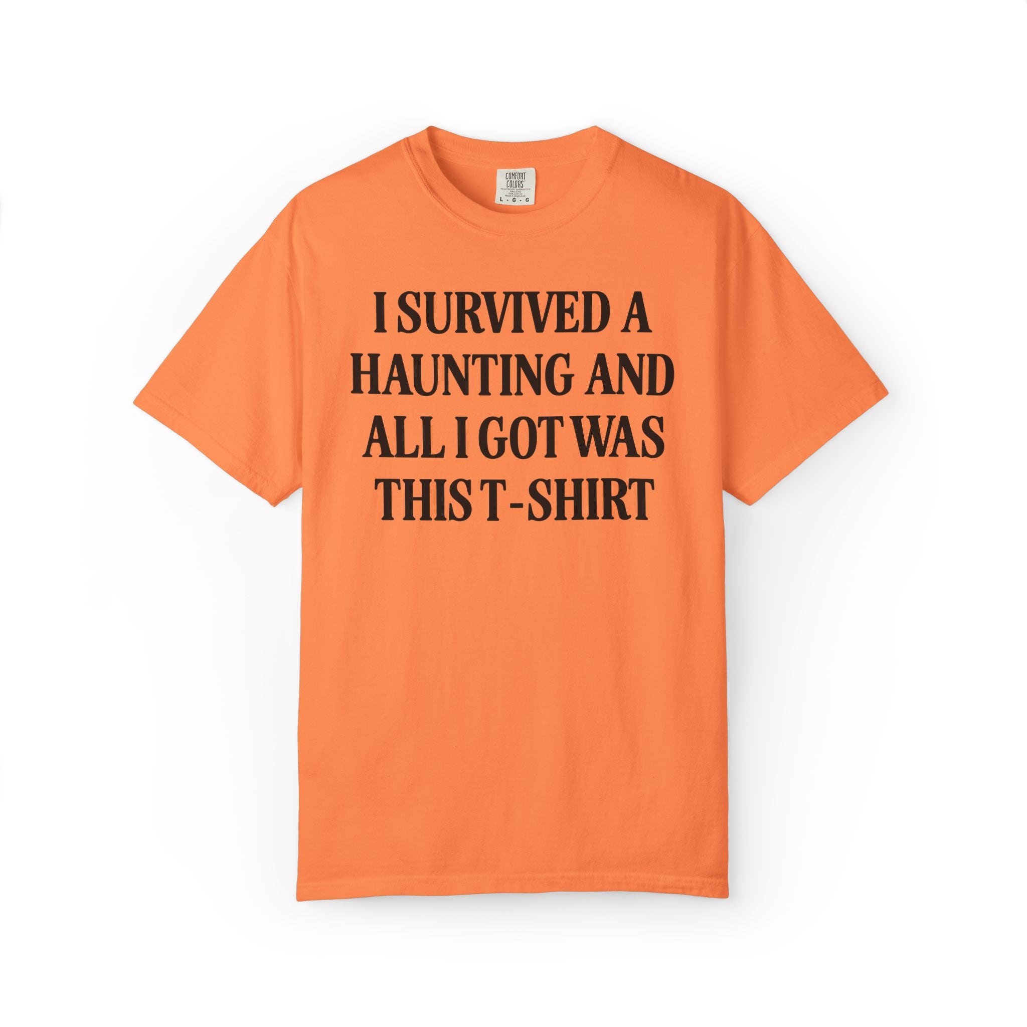 Funny Halloween Tee Shirt for Unhinged Friend Who Loves Spooky Ghosts or Ghost Tours: I Survived a Haunting and All I Got Was This T-Shirt