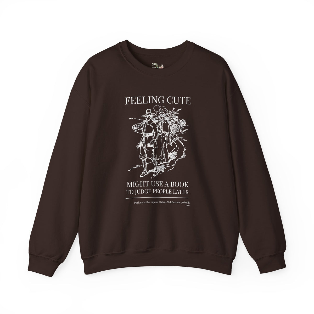 Feeling Cute, Might Use a Book to Judge People Later, Salem Witch Trial History, Malleus Maleficarum Bookish Sweatshirt for Spooky Season
