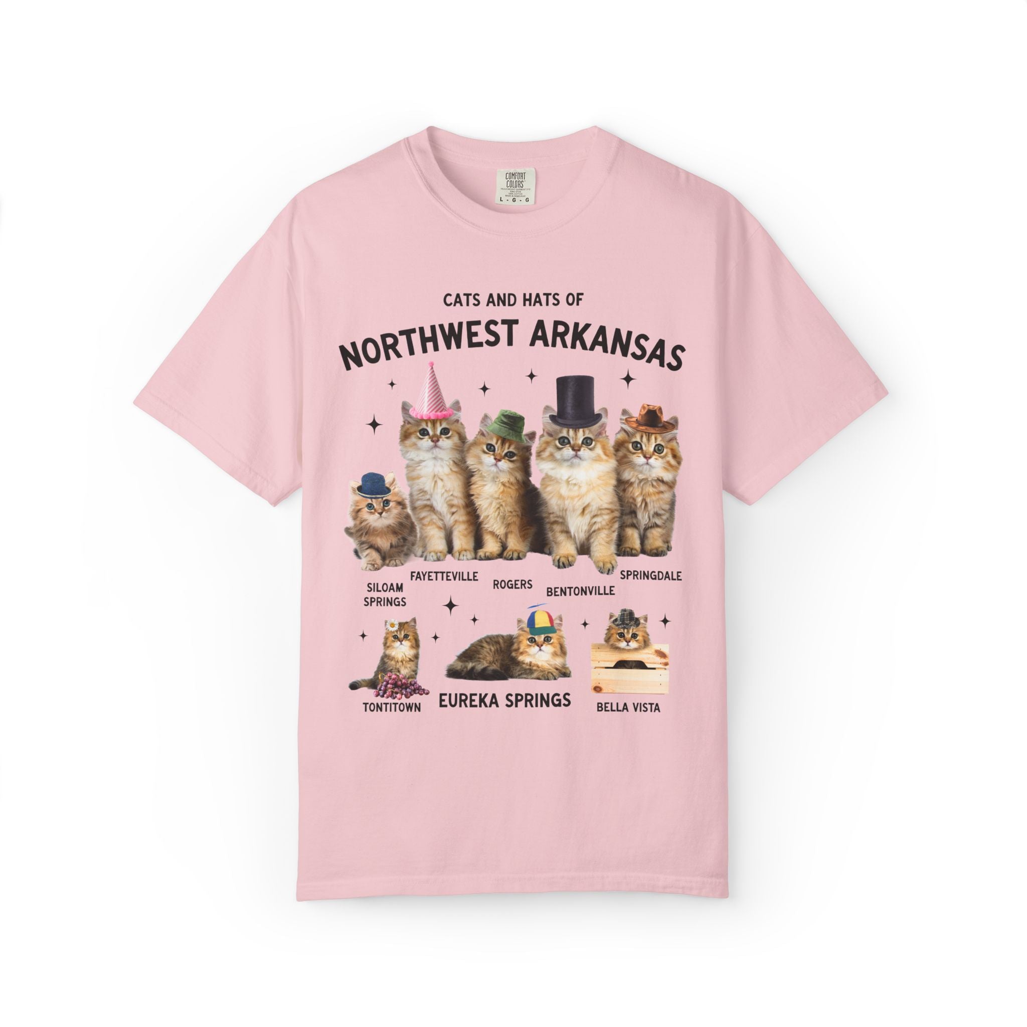 Cats and Hats of Northwest Arkansas: Funny Dreamcore Cat T-Shirt for Friend Living in Northwest Arkansas, Fayetteville Bentonville Rogers Eureka Springs Tee