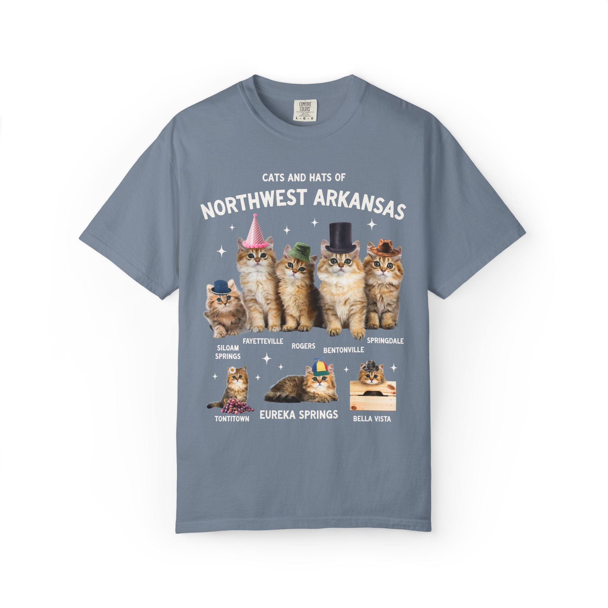 Cats and Hats of Northwest Arkansas: Funny Dreamcore Cat T-Shirt for Friend Living in Northwest Arkansas, Fayetteville Bentonville Rogers Eureka Springs Tee