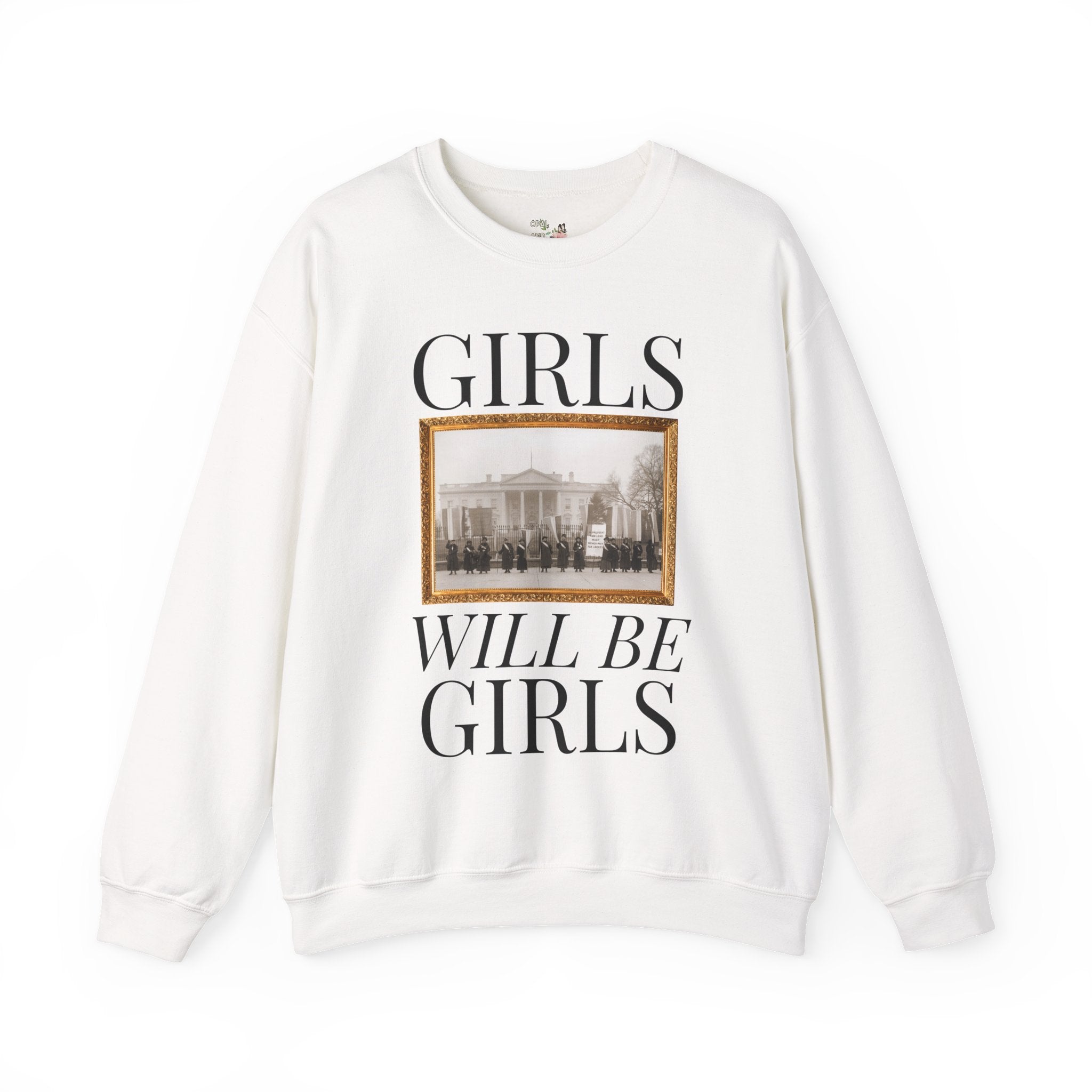 Suffragette Feminist Sweatshirt for History Major or History Buff, Cozy Women's Rights Crewneck with Photo from 1918 in Front of White House