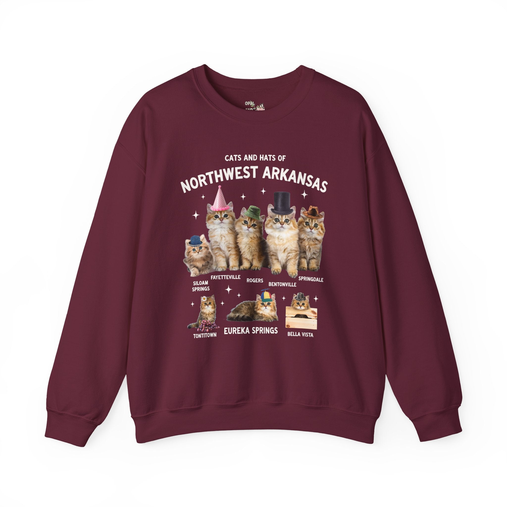 Cats and Hats of Northwest Arkansas: Funny Dreamcore Cat Sweatshirt for Friend Living in Northwest Arkansas, Fayetteville Bentonville Rogers Eureka Springs Crewneck