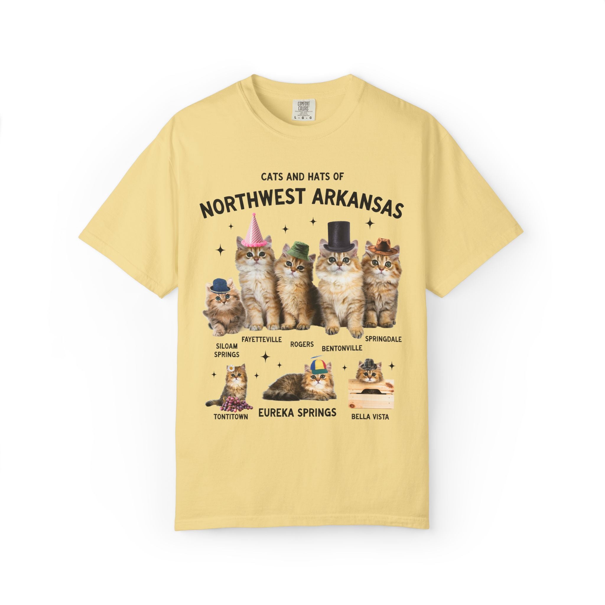 Cats and Hats of Northwest Arkansas: Funny Dreamcore Cat T-Shirt for Friend Living in Northwest Arkansas, Fayetteville Bentonville Rogers Eureka Springs Tee