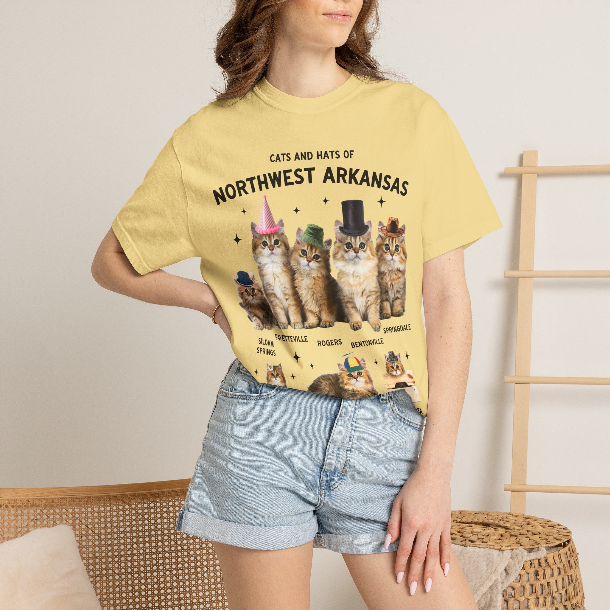 Cats and Hats of Northwest Arkansas: Funny Dreamcore Cat T-Shirt for Friend Living in Northwest Arkansas, Fayetteville Bentonville Rogers Eureka Springs Tee