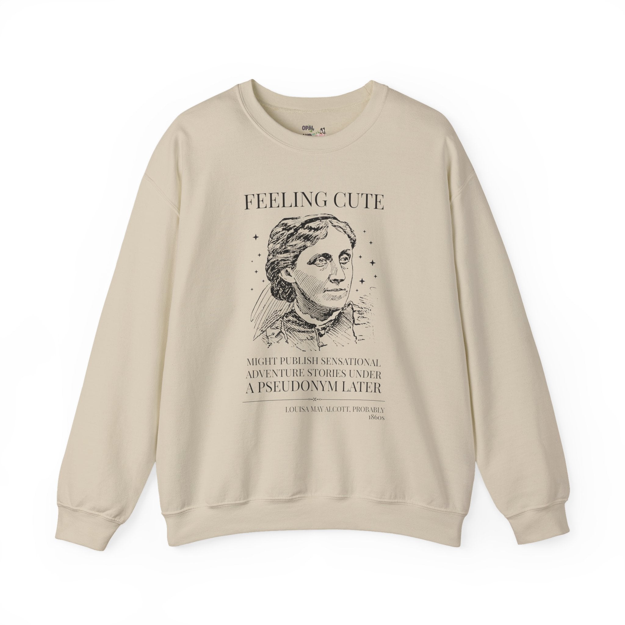Louisa May Alcott Book Lover Sweatshirt, Bookish American History Buff Crewneck for Fantasy Adventure Reader, Classic Literature Librarian Shirt
