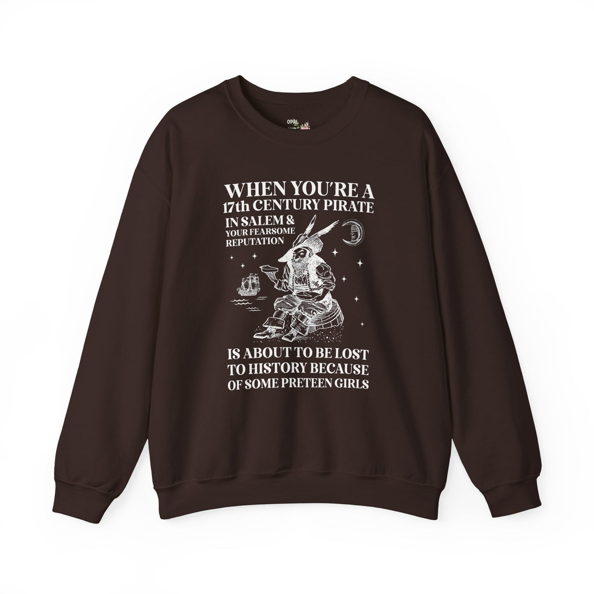 17th Century Pirate in Salem Massachusetts History Buff Sweatshirt, Funny Pirate History Crewneck, 1600s Maritime History Teacher Shirt
