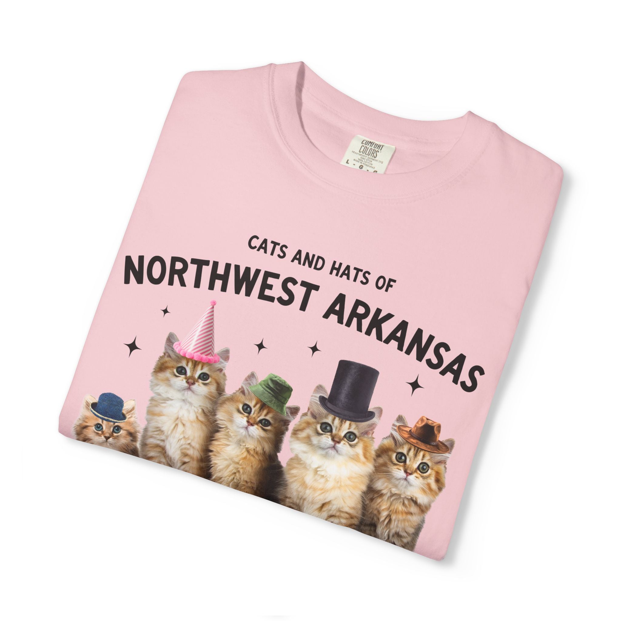 Cats and Hats of Northwest Arkansas: Funny Dreamcore Cat T-Shirt for Friend Living in Northwest Arkansas, Fayetteville Bentonville Rogers Eureka Springs Tee
