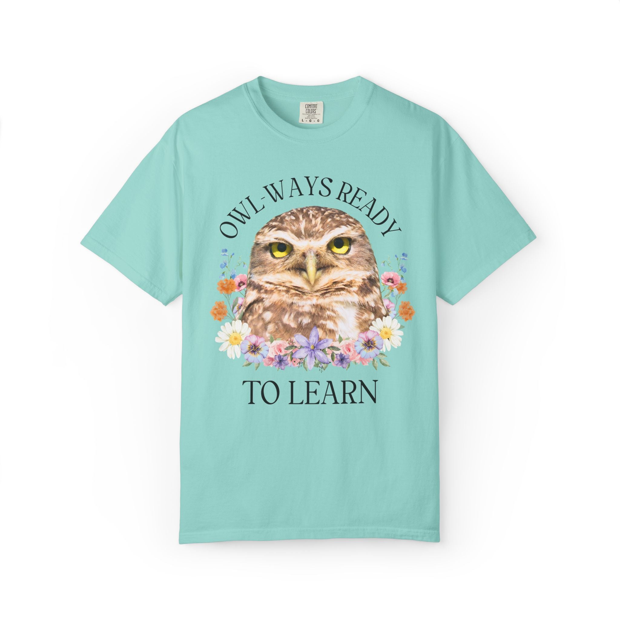 Owl High School Matching Teacher T-Shirt for School Office Staff, Funny Animal Lover T-Shirt for School Administration or Middle School Math