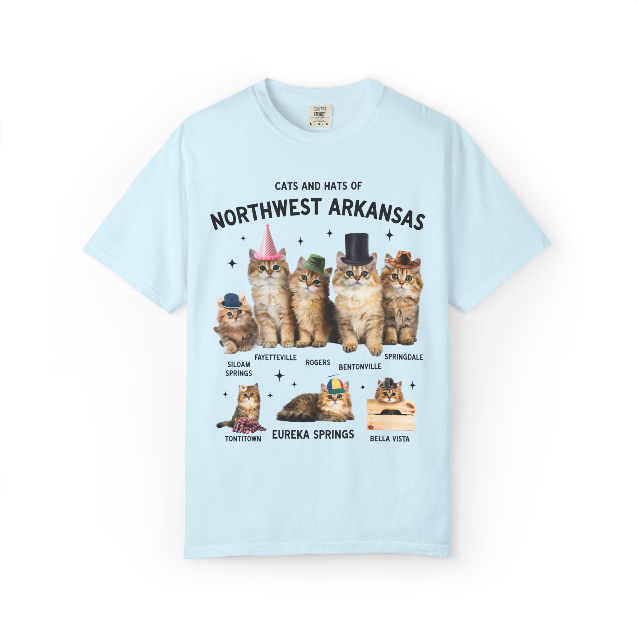Cats and Hats of Northwest Arkansas: Funny Dreamcore Cat T-Shirt for Friend Living in Northwest Arkansas, Fayetteville Bentonville Rogers Eureka Springs Tee