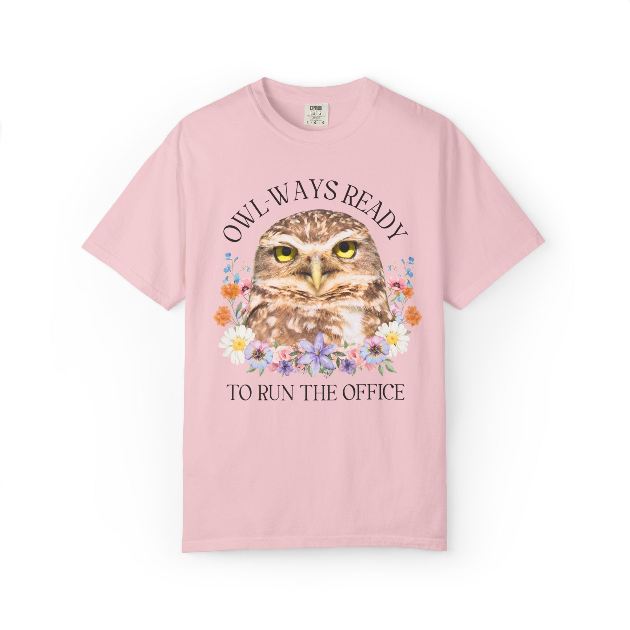 Owl High School Matching Teacher T-Shirt for School Office Staff, Funny Animal Lover T-Shirt for School Administration or Middle School Math