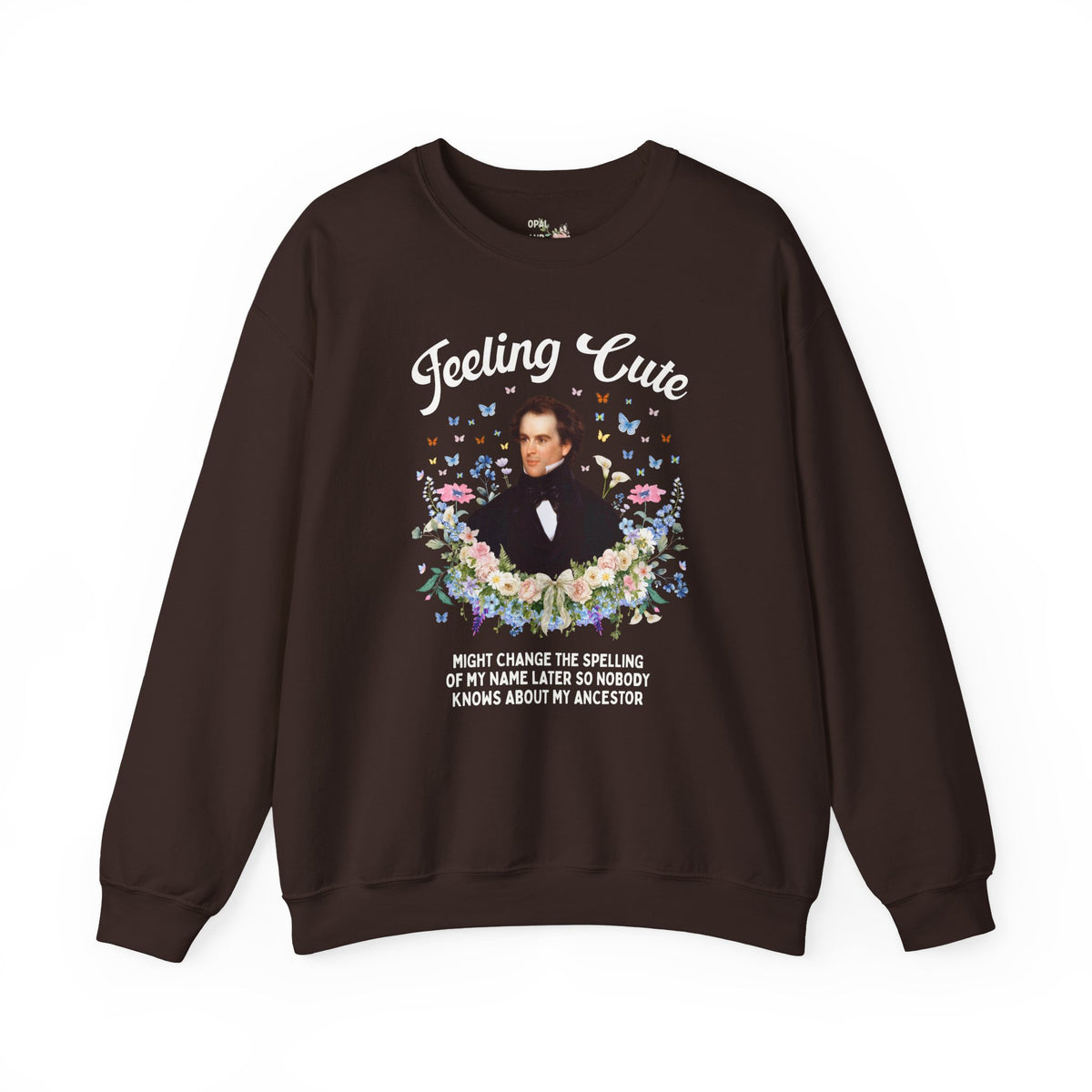 Funny Nathaniel Hawthorne Sweatshirt: Feeling Cute Might Change the Spelling of My Name Later, Salem Massachusetts History Buff Gift