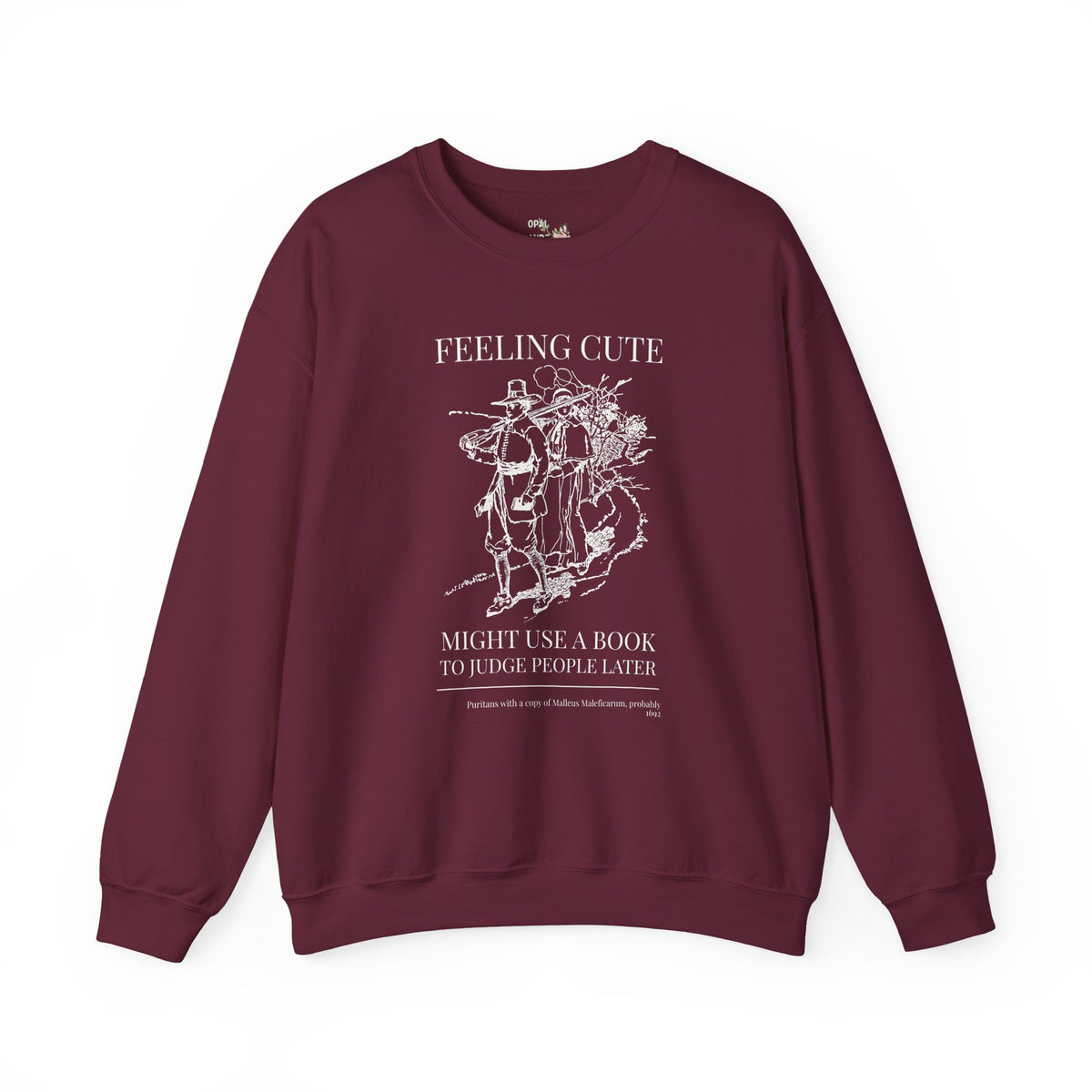 Feeling Cute, Might Use a Book to Judge People Later, Salem Witch Trial History, Malleus Maleficarum Bookish Sweatshirt for Spooky Season