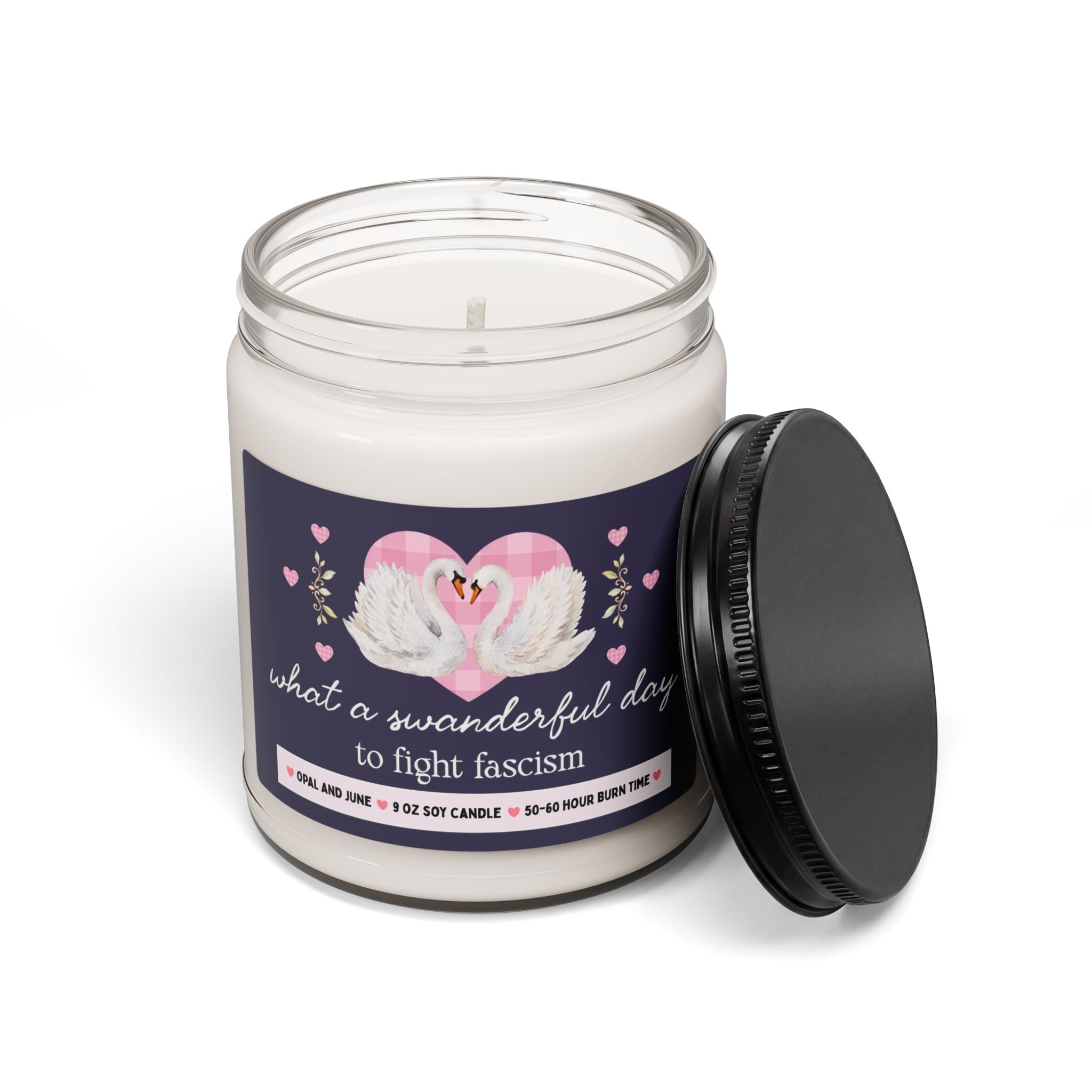 Leftist Progressive Political Gift, Candle with Swans: What a Swanderful Day to Fight Fascism, 9 Oz Candle, Womens Rights, Equal Rights Gift