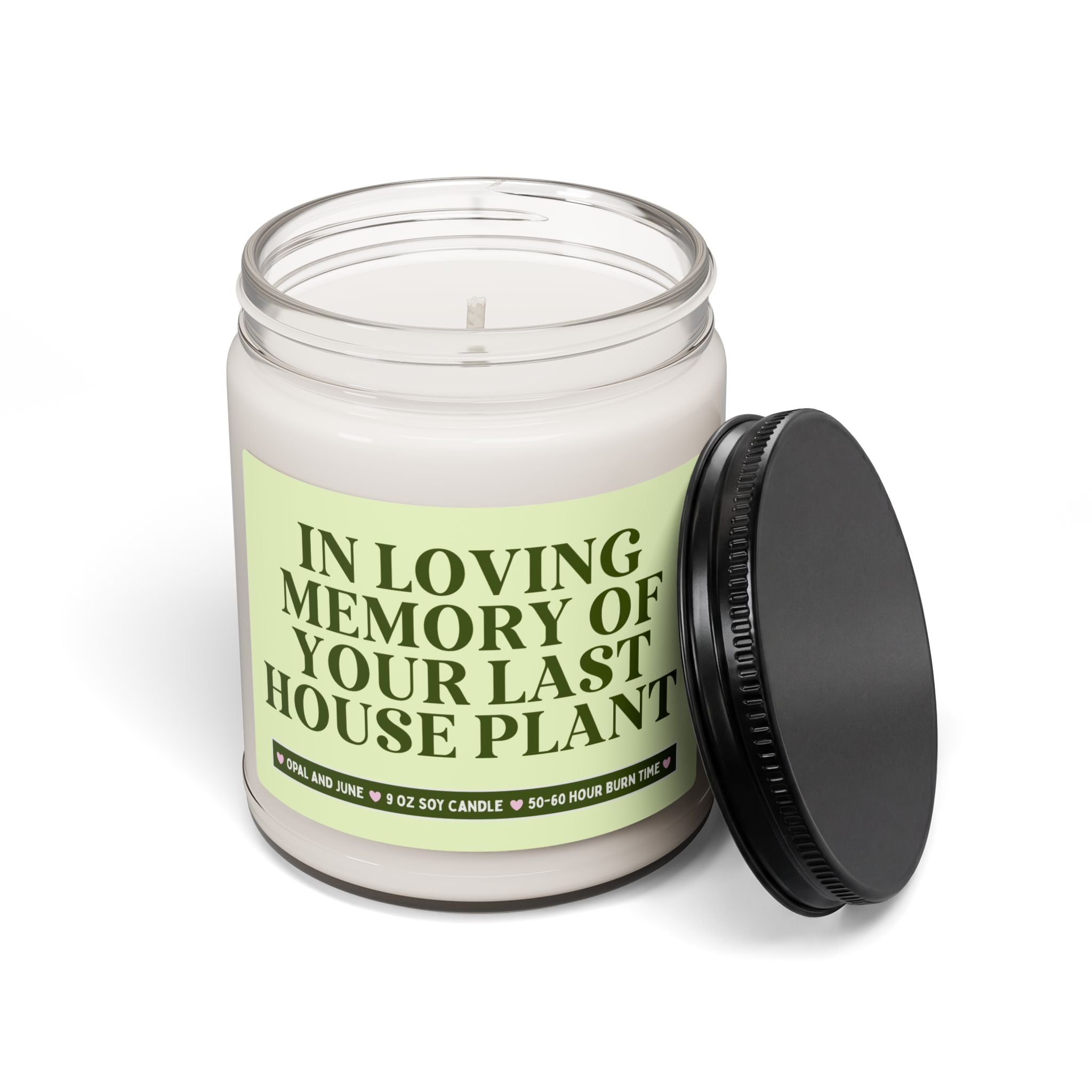 Funny Houseplant Lover Gift for Friend with a Black Thumb: In Loving Memory of Your Last House Plant, Funny Sarcastic 9 Oz Soy Candle
