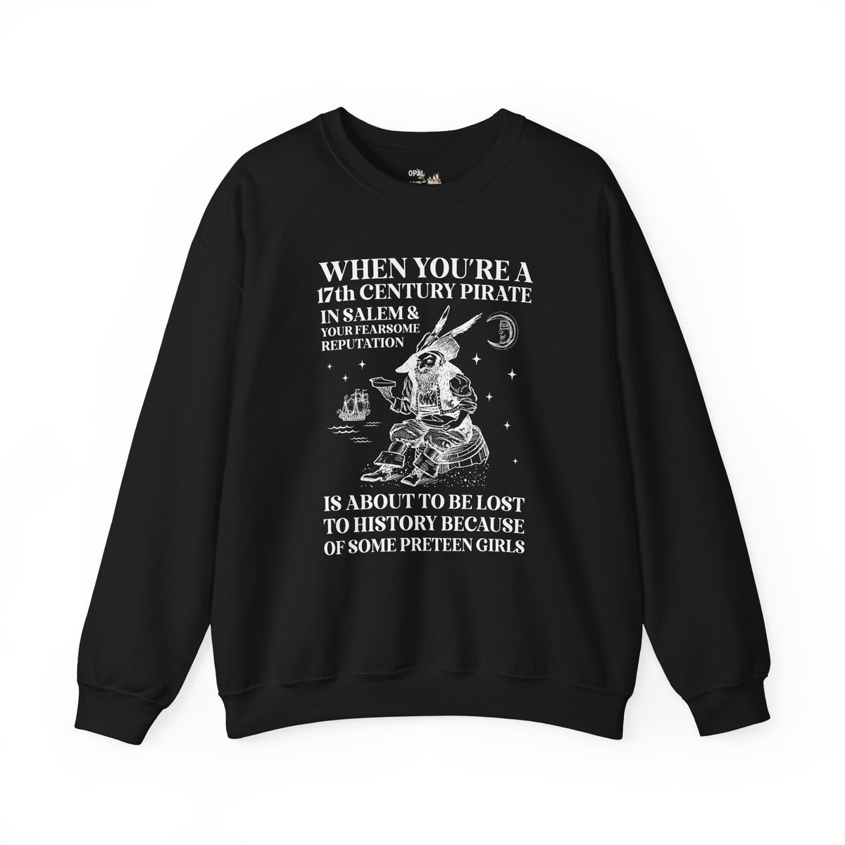 17th Century Pirate in Salem Massachusetts History Buff Sweatshirt, Funny Pirate History Crewneck, 1600s Maritime History Teacher Shirt
