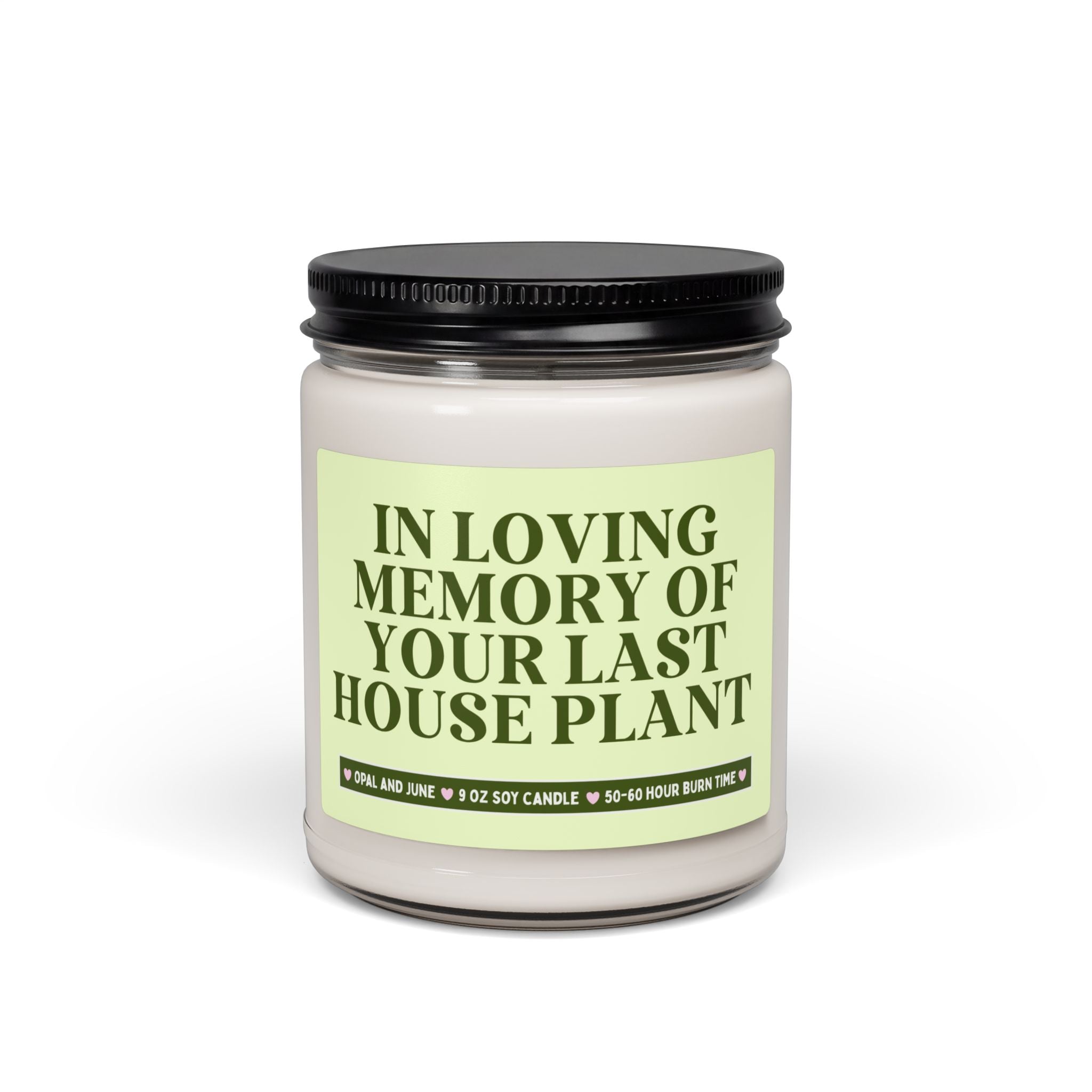 Funny Houseplant Lover Gift for Friend with a Black Thumb: In Loving Memory of Your Last House Plant, Funny Sarcastic 9 Oz Soy Candle