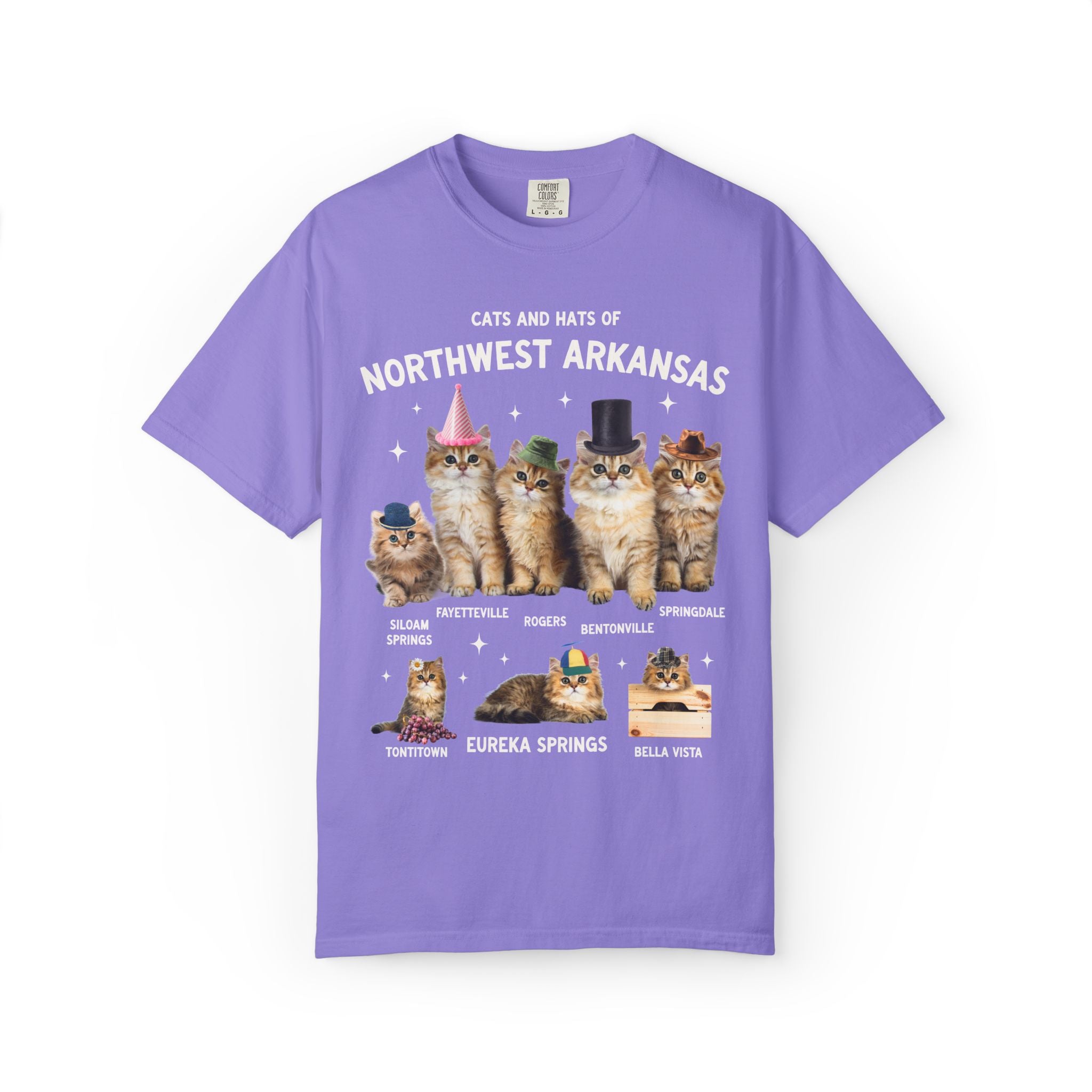Cats and Hats of Northwest Arkansas: Funny Dreamcore Cat T-Shirt for Friend Living in Northwest Arkansas, Fayetteville Bentonville Rogers Eureka Springs Tee