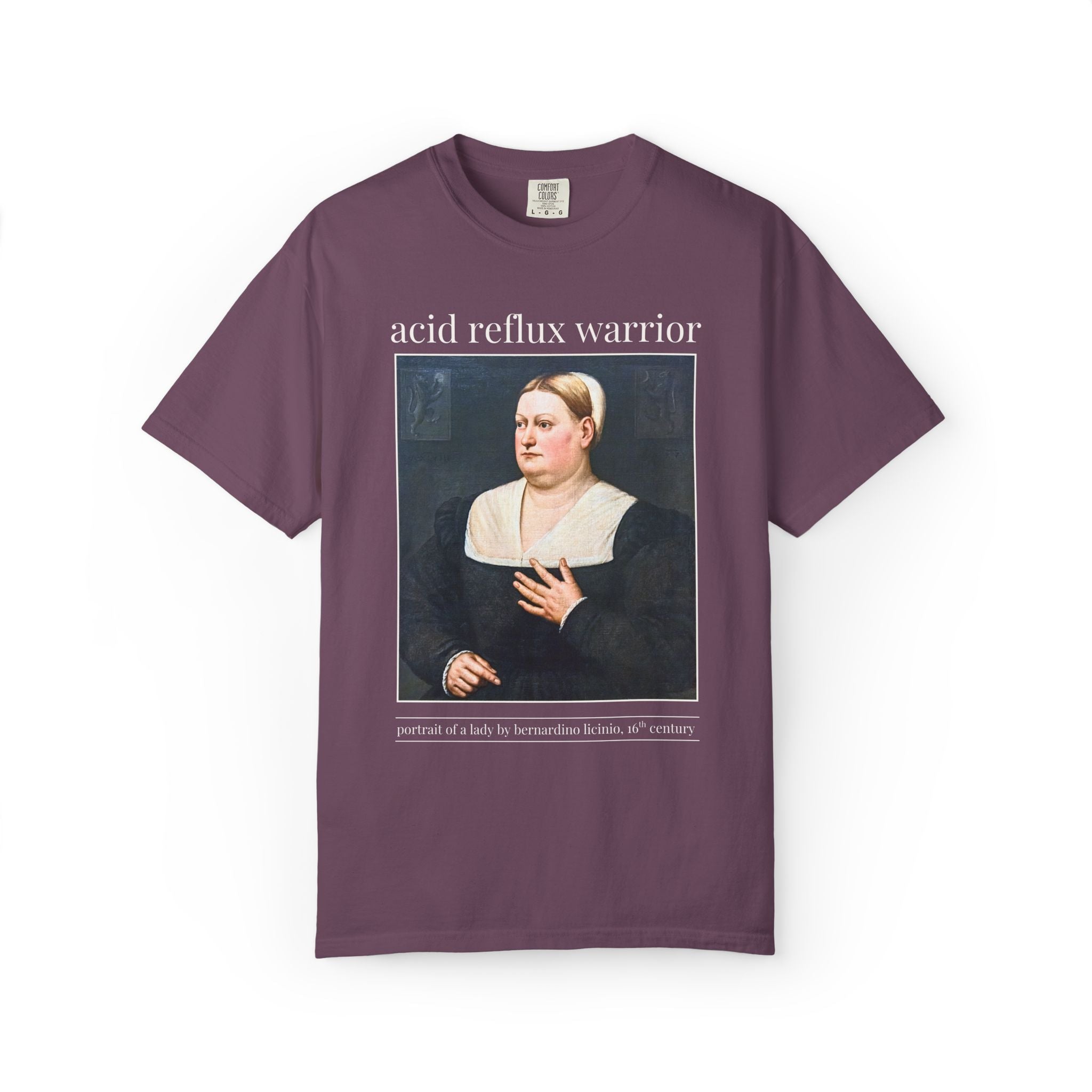 Acid Reflux Warrior Art History Tee Shirt for Friend or Sister with GERD or Tummy Troubles, Silly Chronic Illness Humanites Professor Tee - Opal and June