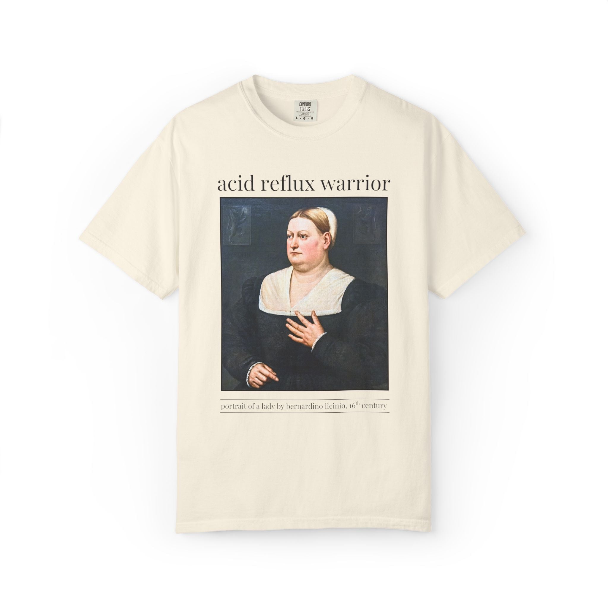Acid Reflux Warrior Art History Tee Shirt for Friend or Sister with GERD or Tummy Troubles, Silly Chronic Illness Humanites Professor Tee - Opal and June