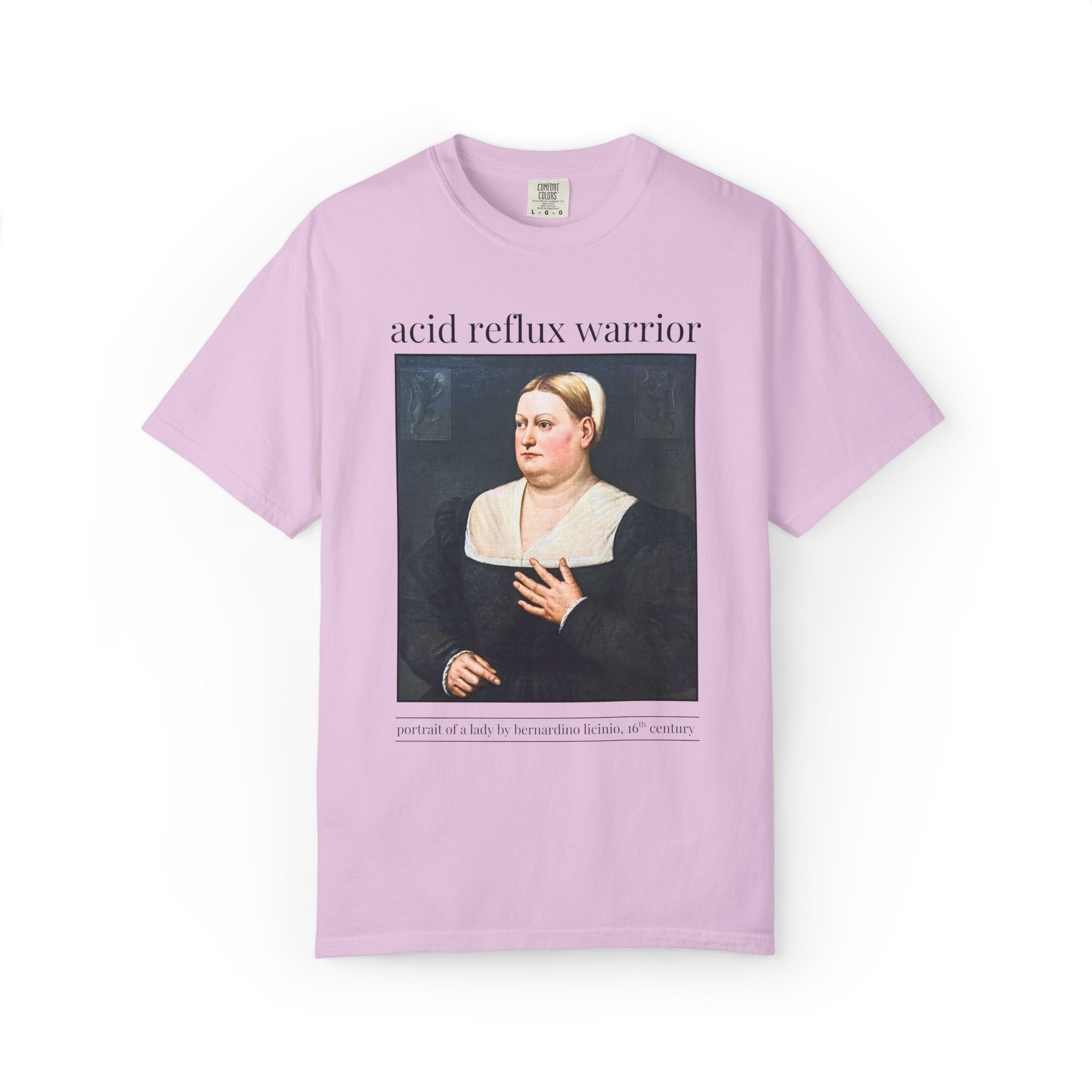 Acid Reflux Warrior Art History Tee Shirt for Friend or Sister with GERD or Tummy Troubles, Silly Chronic Illness Humanites Professor Tee - Opal and June