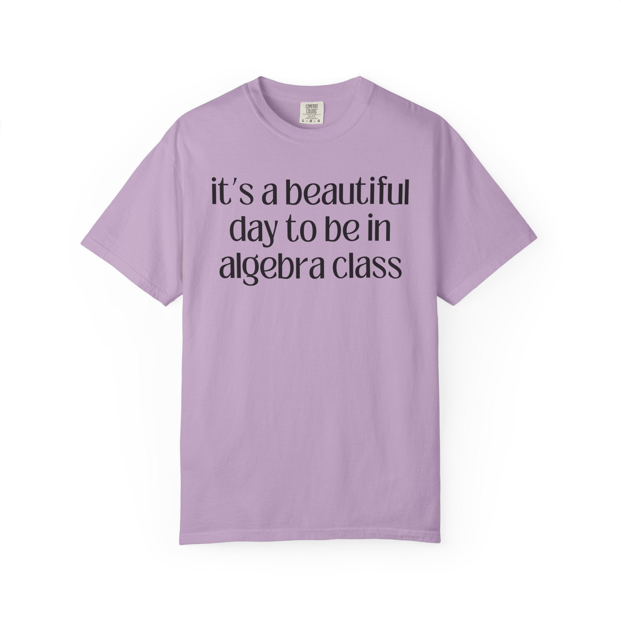 Algebra Teacher T-Shirt - Opal and June