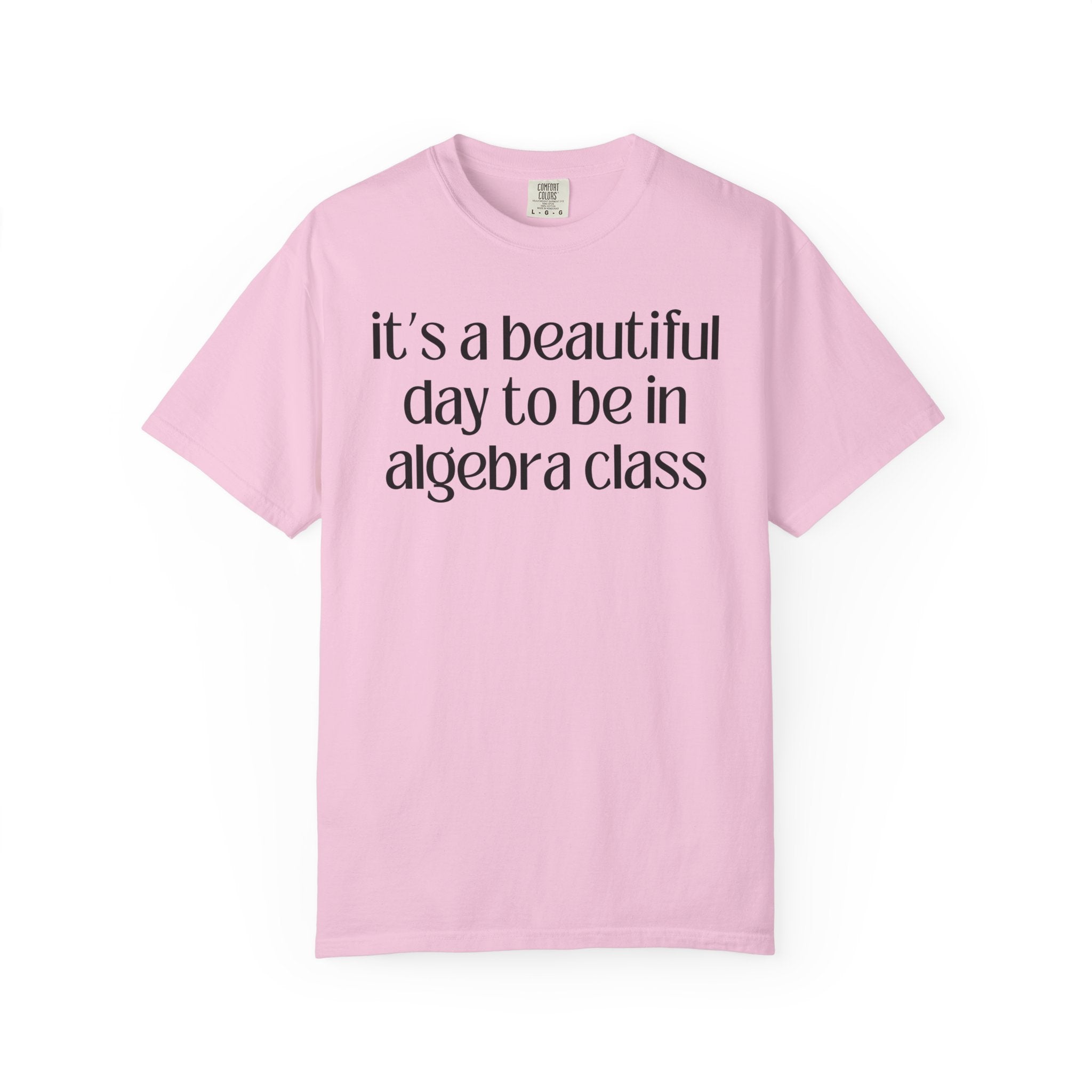 Algebra Teacher T-Shirt - Opal and June