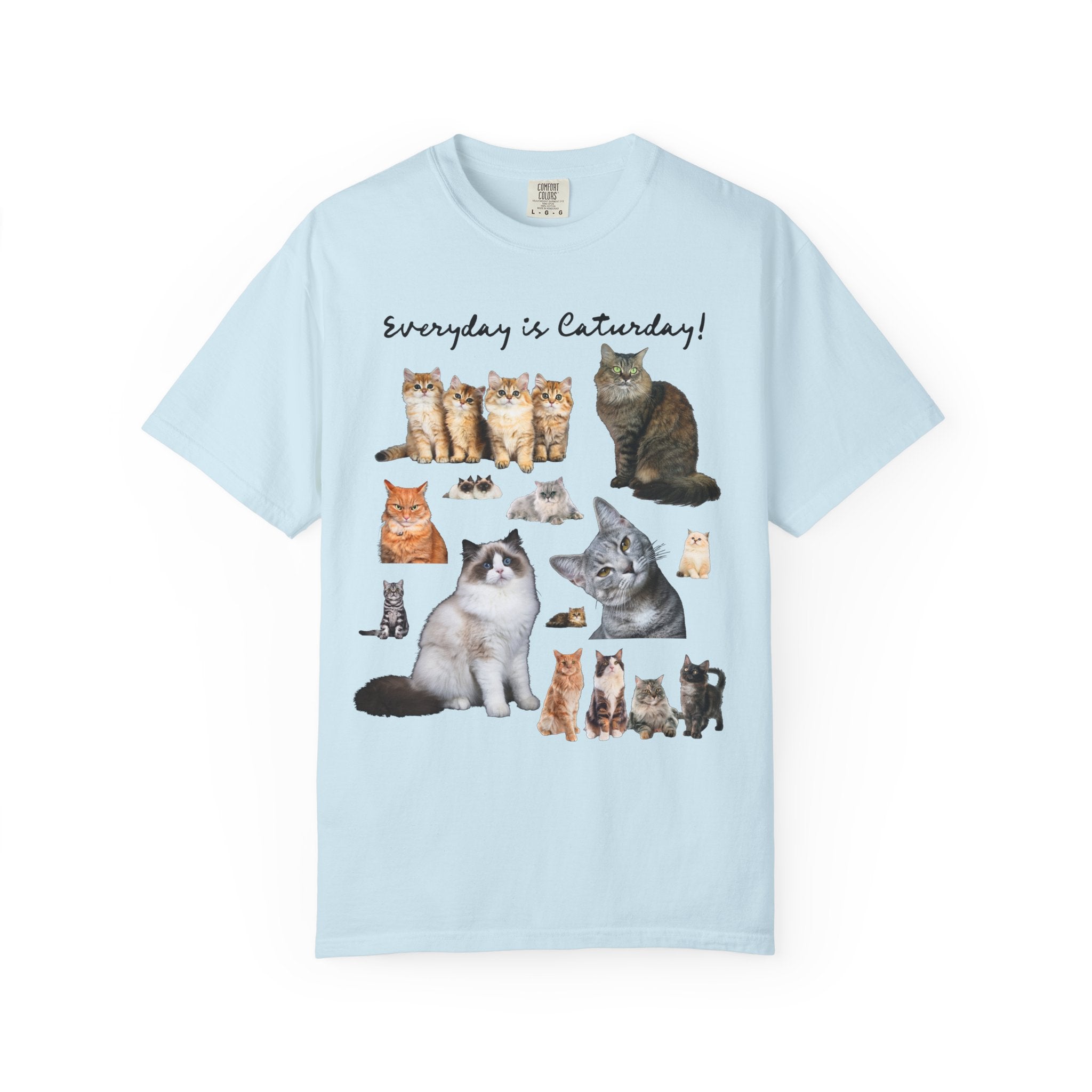 Cat Lover T-Shirt with Photos of Kittens and Cats, Silly Cat Mom or Cat Dad T-Shirt for Cat Owner or Friend Getting a Kitten for Birthday - Opal and June