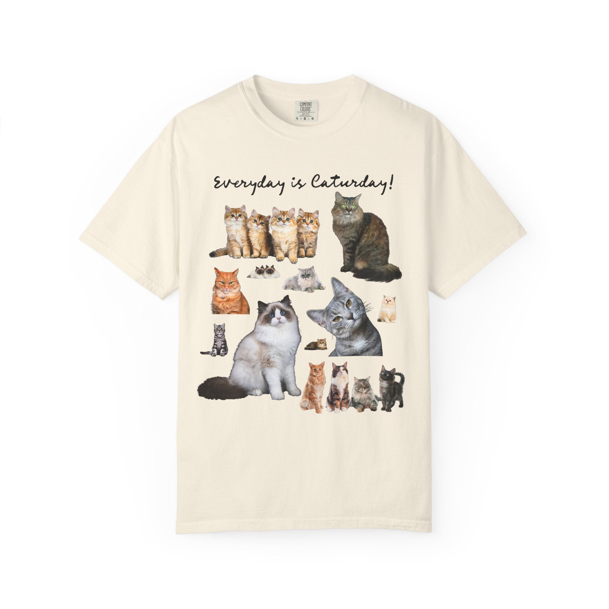 Cat Lover T-Shirt with Photos of Kittens and Cats, Silly Cat Mom or Cat Dad T-Shirt for Cat Owner or Friend Getting a Kitten for Birthday - Opal and June