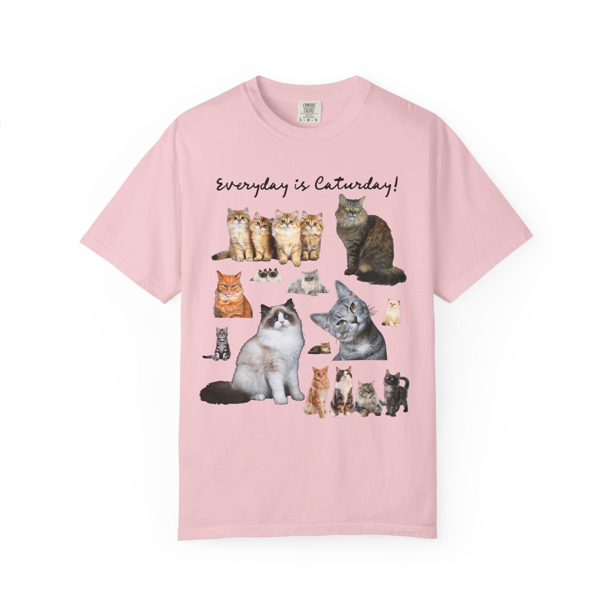 Cat Lover T-Shirt with Photos of Kittens and Cats, Silly Cat Mom or Cat Dad T-Shirt for Cat Owner or Friend Getting a Kitten for Birthday - Opal and June