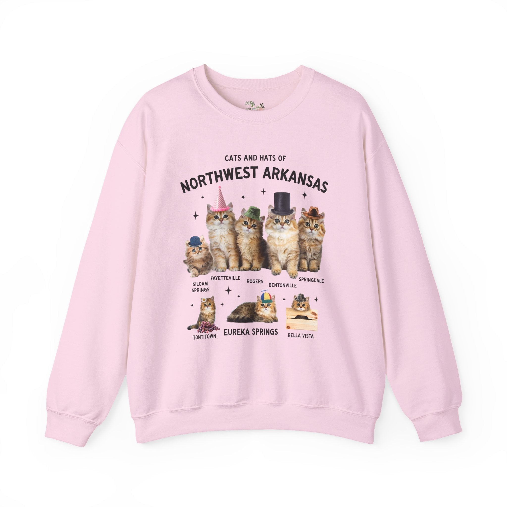 Cats and Hats of Northwest Arkansas: Funny Dreamcore Cat Sweatshirt for Friend Living in Northwest Arkansas, Fayetteville Bentonville Rogers Eureka Springs Crewneck - Opal and June
