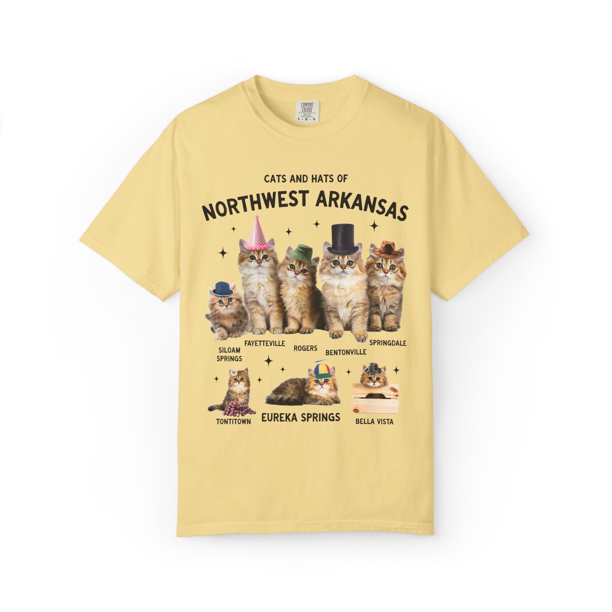 Cats and Hats of Northwest Arkansas: Funny Dreamcore Cat T-Shirt for Friend Living in Northwest Arkansas, Fayetteville Bentonville Rogers Eureka Springs Tee - Opal and June