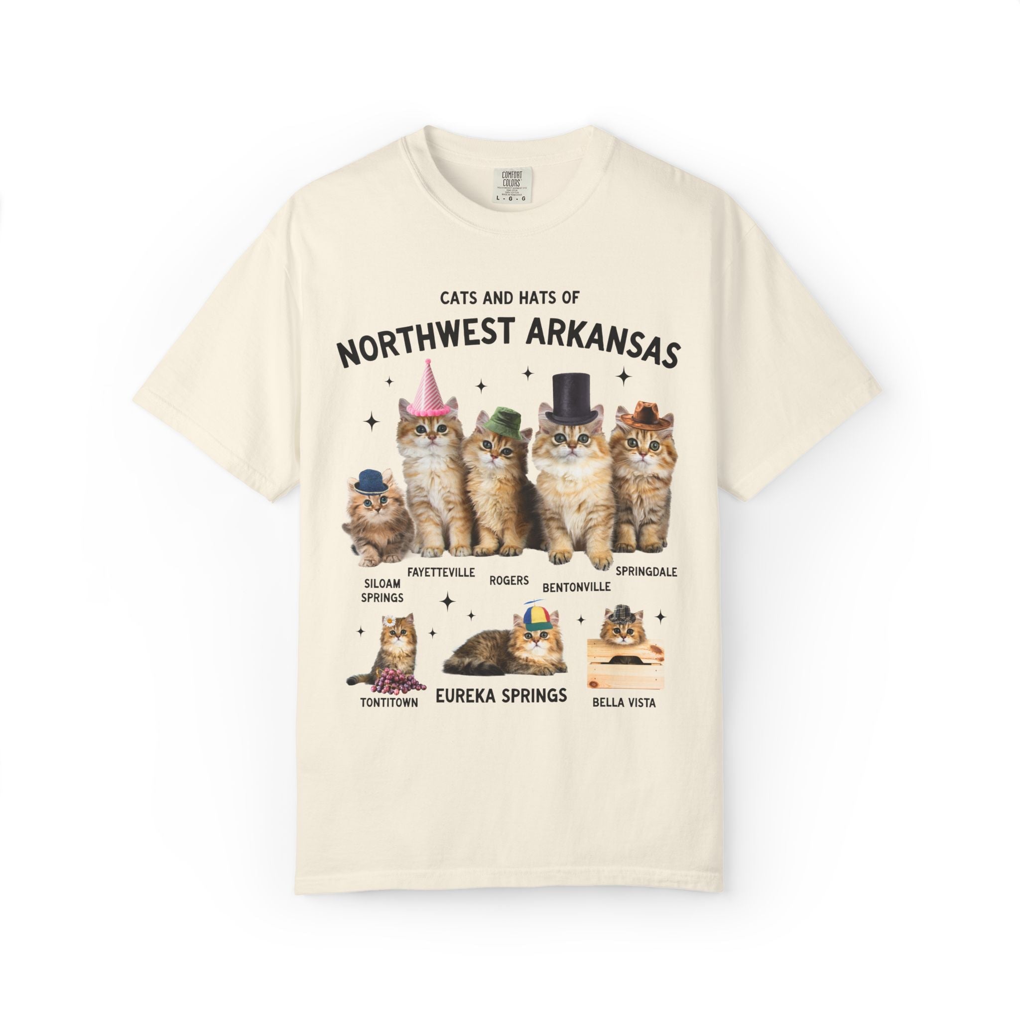 Cats and Hats of Northwest Arkansas: Funny Dreamcore Cat T-Shirt for Friend Living in Northwest Arkansas, Fayetteville Bentonville Rogers Eureka Springs Tee - Opal and June