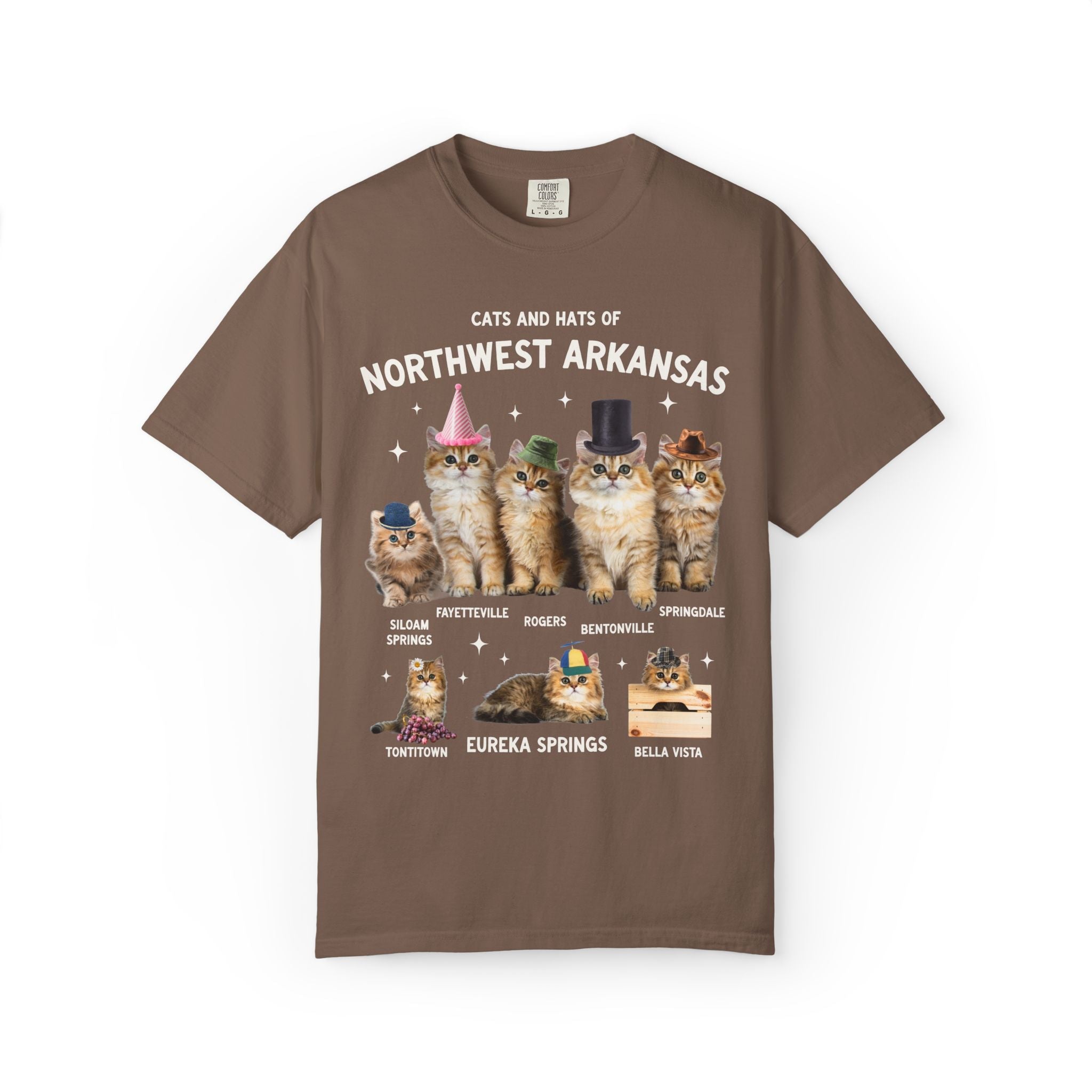 Cats and Hats of Northwest Arkansas: Funny Dreamcore Cat T-Shirt for Friend Living in Northwest Arkansas, Fayetteville Bentonville Rogers Eureka Springs Tee - Opal and June