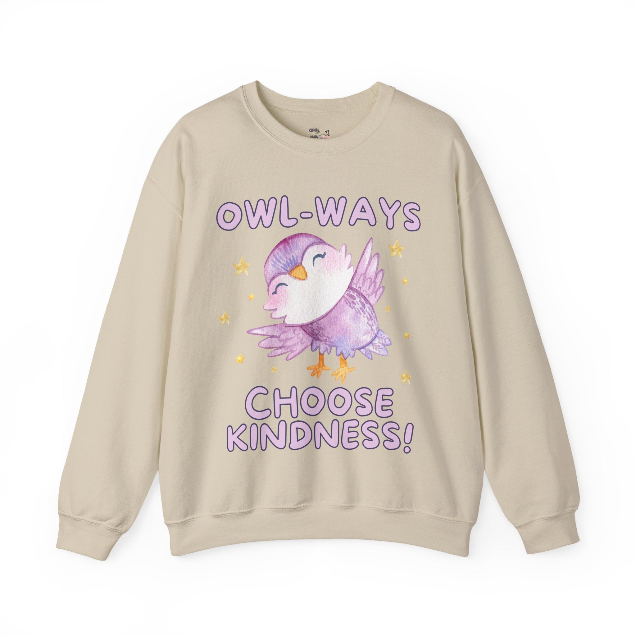 Cute School Teacher, School Librarian Sweatshirt for Friend Who Loves Owls: Owl-Ways Choose Kindness! Positive Affirmation Gift for Teacher - Opal and June
