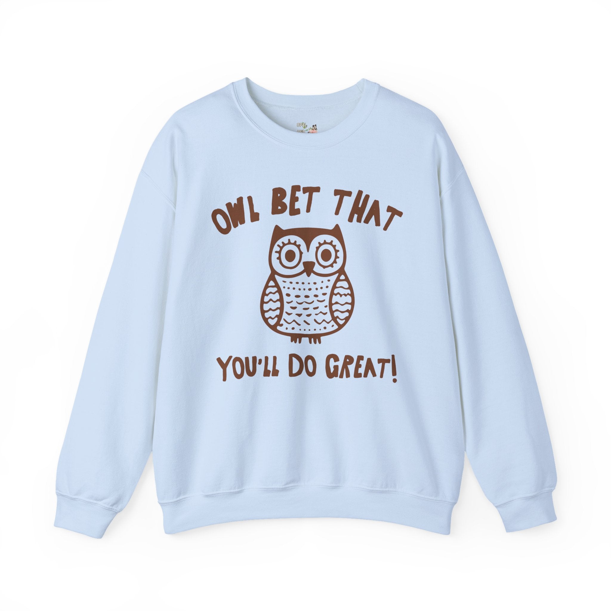 Cute Testing Day Crewneck for Fourth Grade Teacher Who Loves Owls: Funny Saying Animal Lover Sweatshirt, Matching Second Grade Crew Shirt - Opal and June