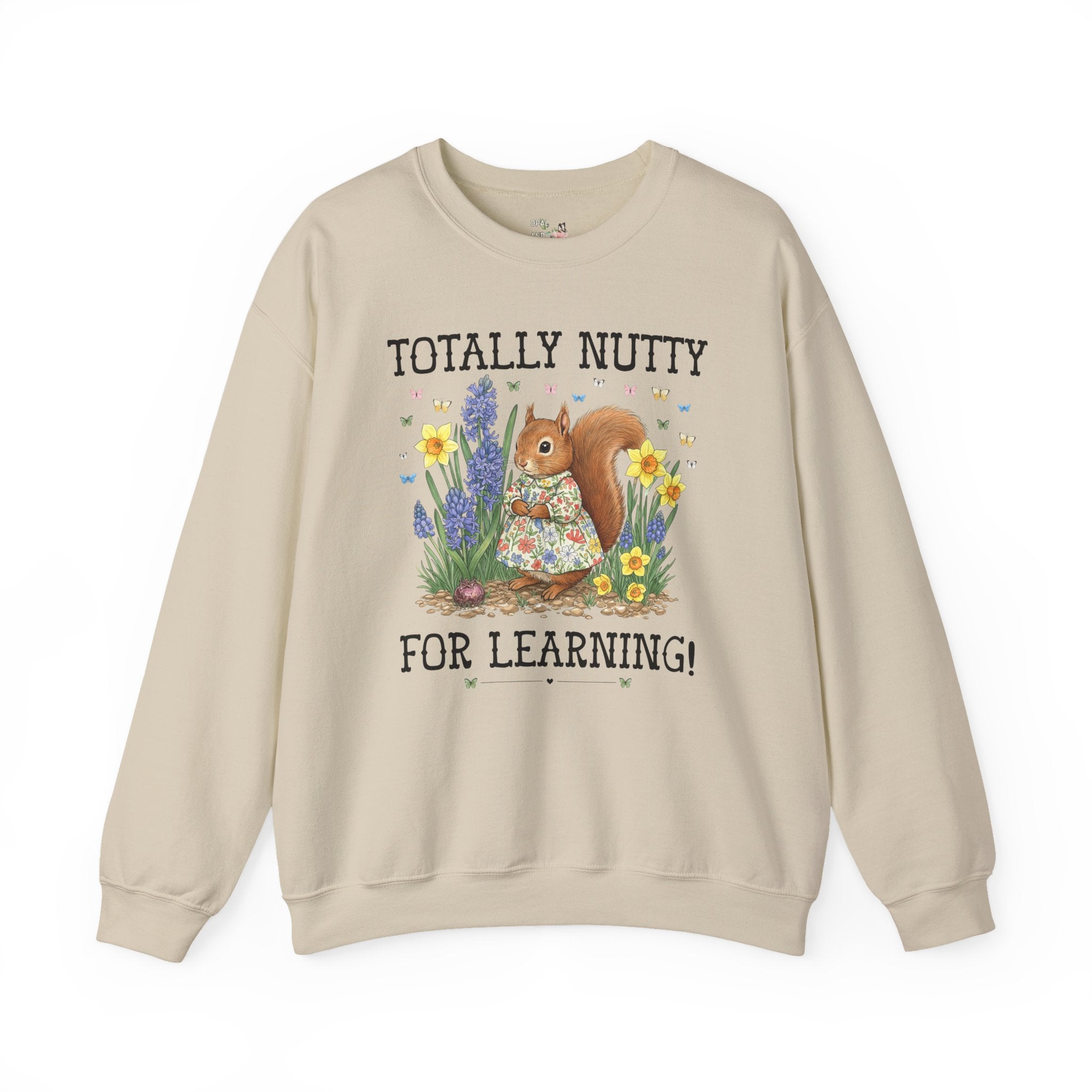 Elementary School Teacher Sweatshirt or Funny High School Teacher Shirt: Silly Squirrel Animal Lover Tee for 1st Grade or Kindergarten Team - Opal and June