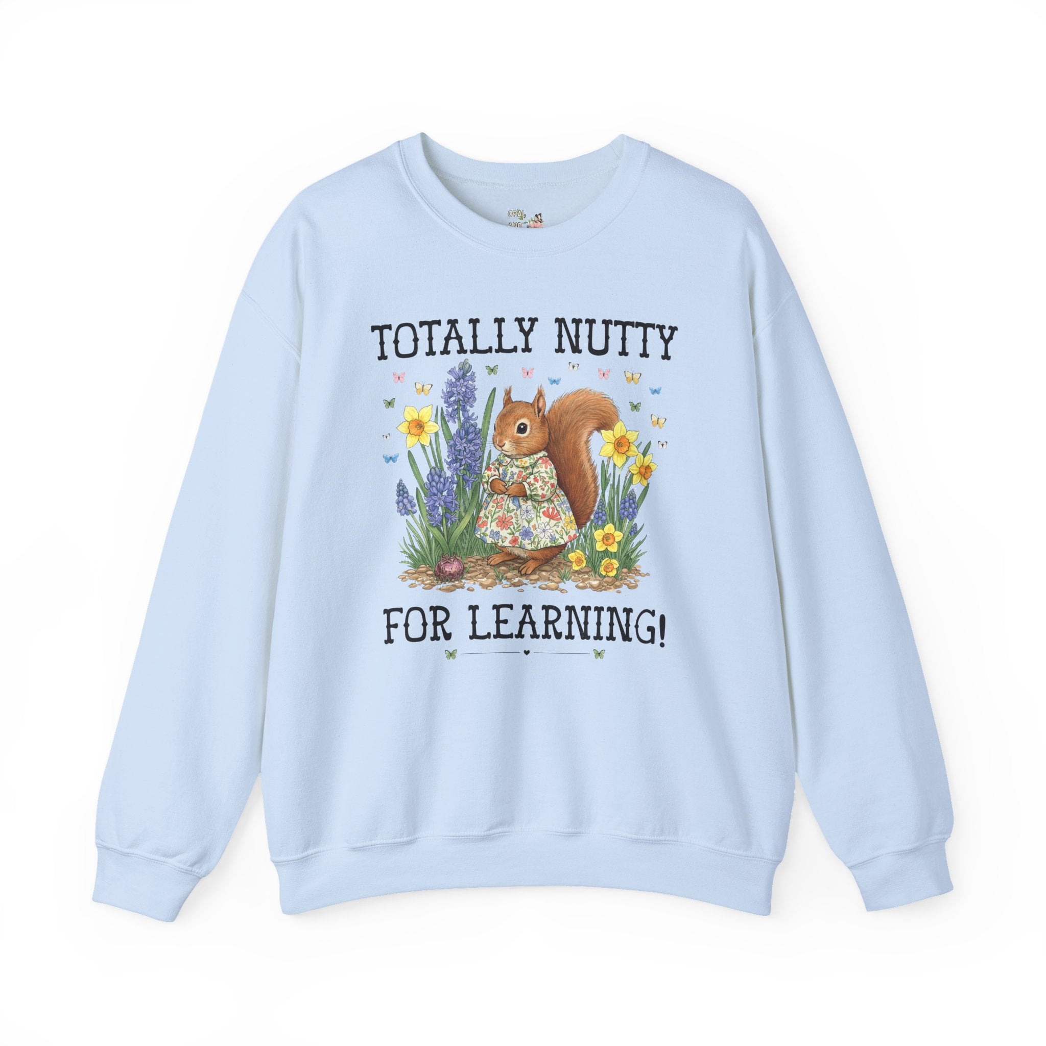 Elementary School Teacher Sweatshirt or Funny High School Teacher Shirt: Silly Squirrel Animal Lover Tee for 1st Grade or Kindergarten Team - Opal and June