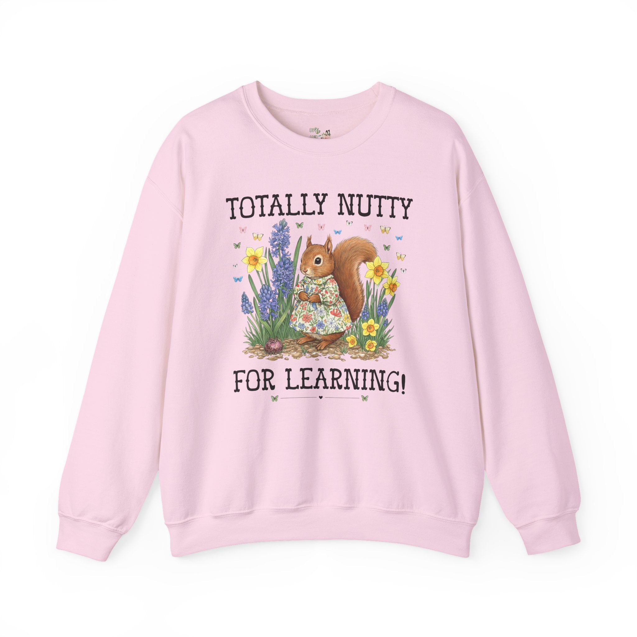 Elementary School Teacher Sweatshirt or Funny High School Teacher Shirt: Silly Squirrel Animal Lover Tee for 1st Grade or Kindergarten Team - Opal and June