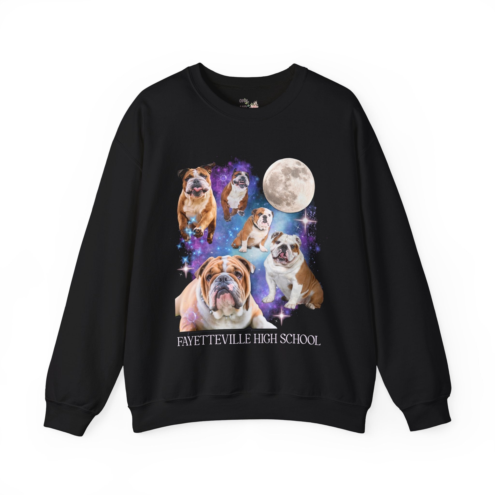 Fayetteville High School Sweatshirt: Bulldogs in Space - Opal and June