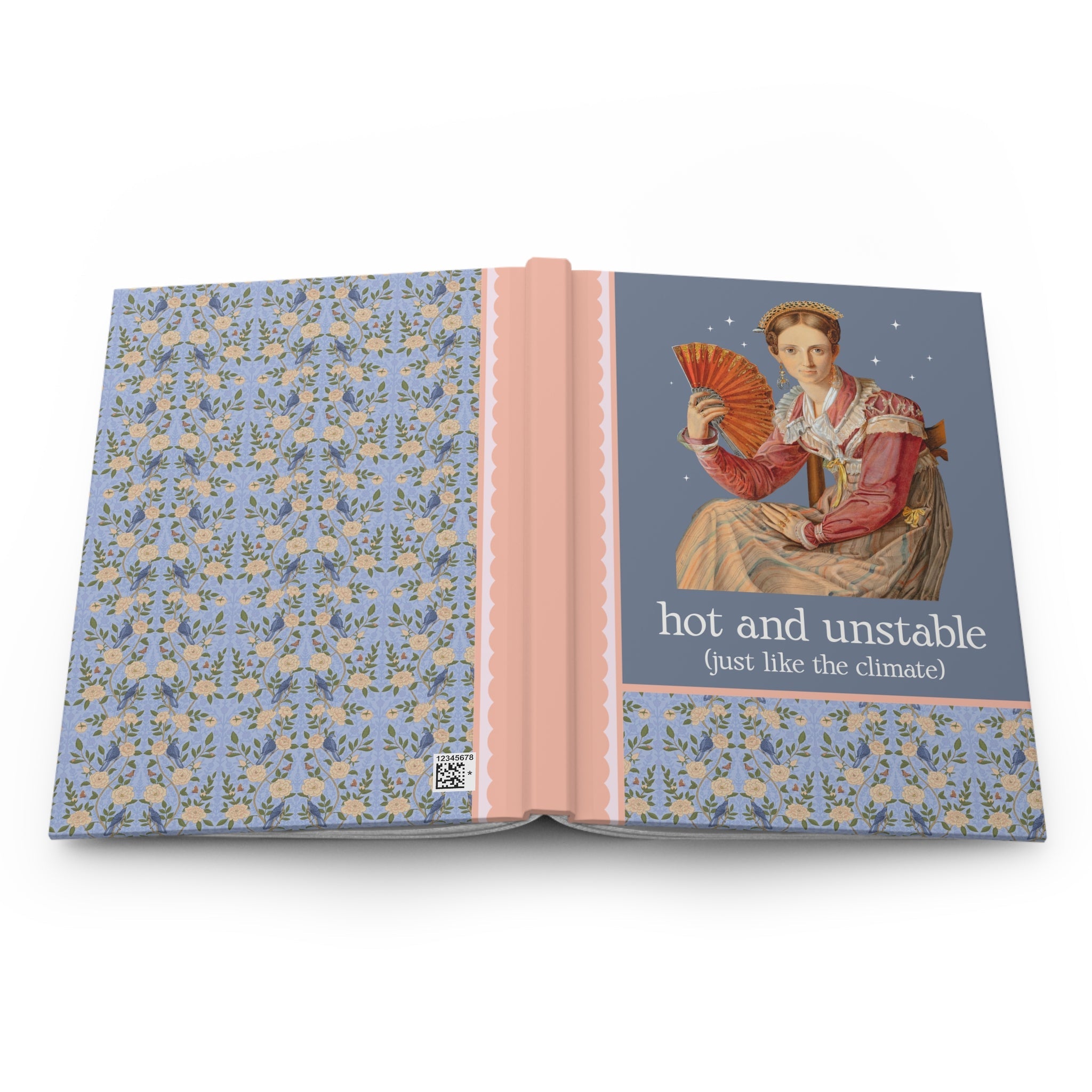 Feminist Climate Change Art History Notebook: Hot and Unstable, Just Like the Climate | Silly Leftist or Environmental Scientist Hardcover Journal - Opal and June