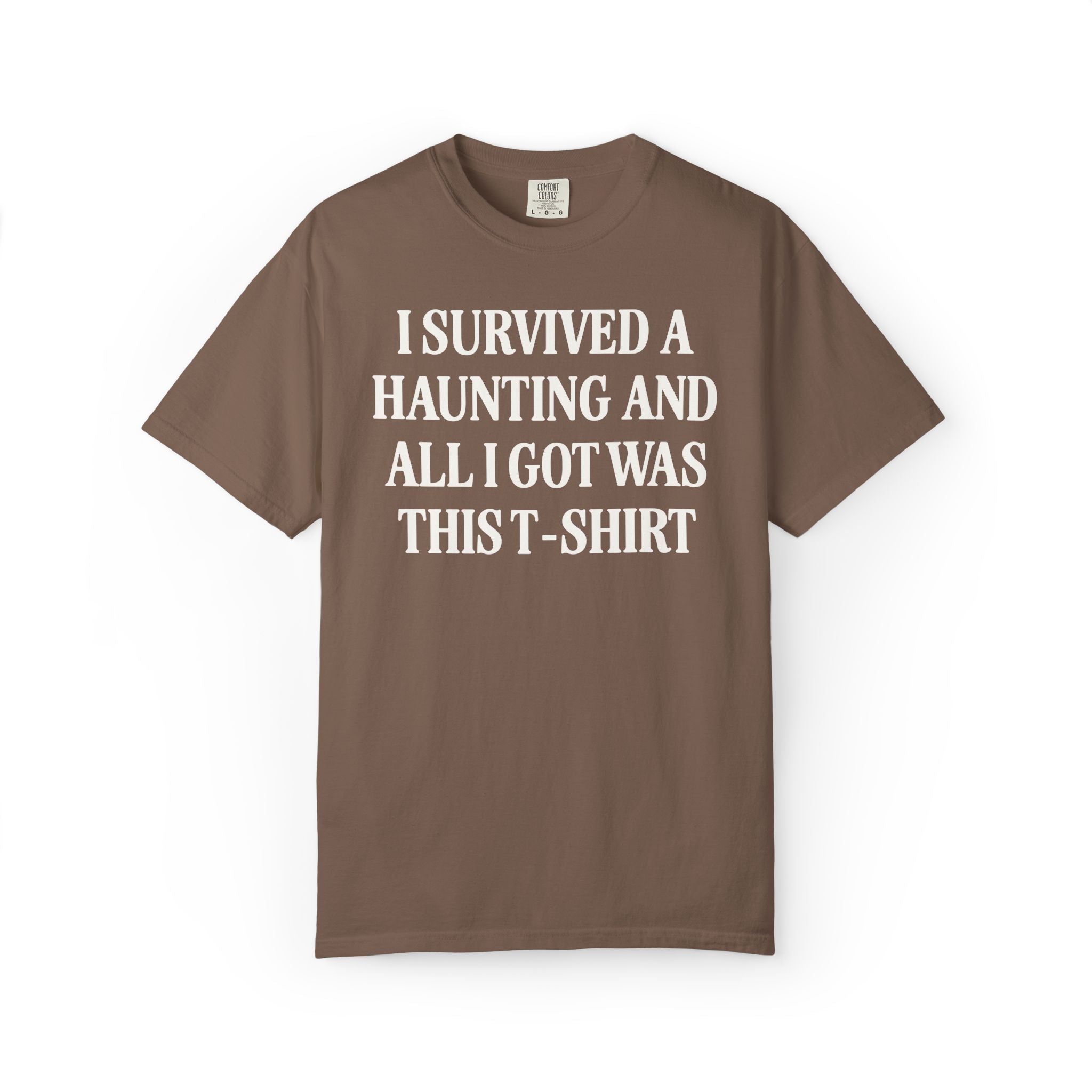 Funny Halloween Tee Shirt for Unhinged Friend Who Loves Spooky Ghosts or Ghost Tours: I Survived a Haunting and All I Got Was This T-Shirt - Opal and June