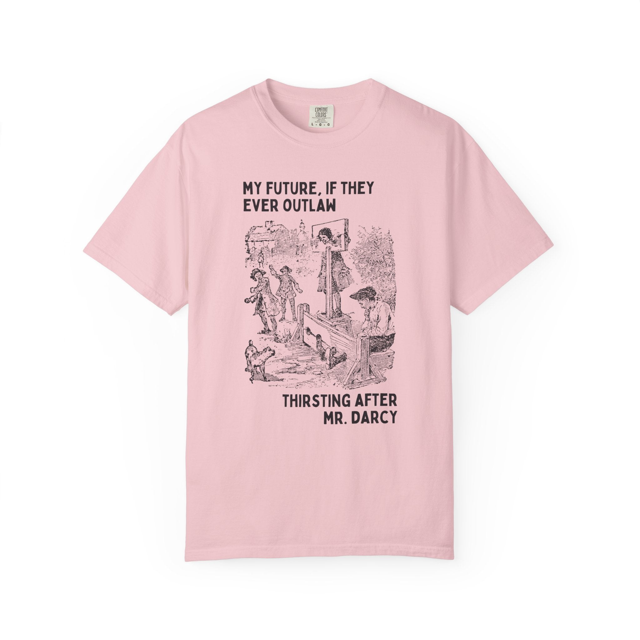 Funny Pride and Prejudice Tee Shirt for Bookworm Who Loves Jane Austen, Silly Mr. Darcy T-Shirt, 19th Century Book Lover Gift for Librarian - Opal and June