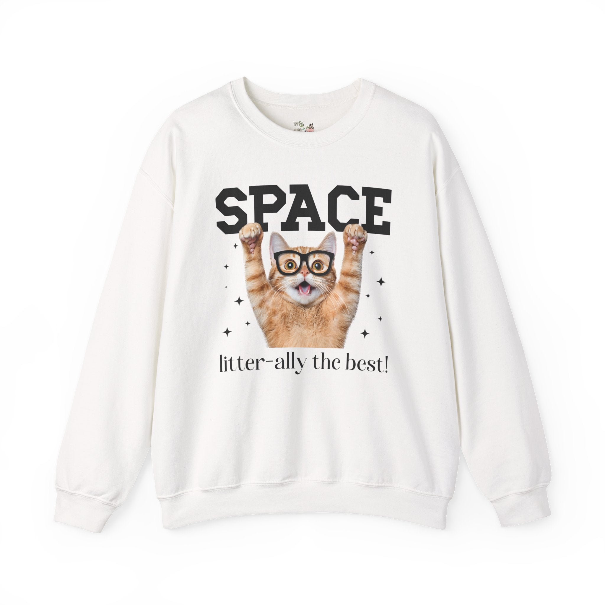 Funny Space Lover Sweatshirt for Astronomy Professor, Cute Science Teacher Crewneck, Cat Lover, Cat Mom or Cat Dad Middle School Teacher Tee - Opal and June