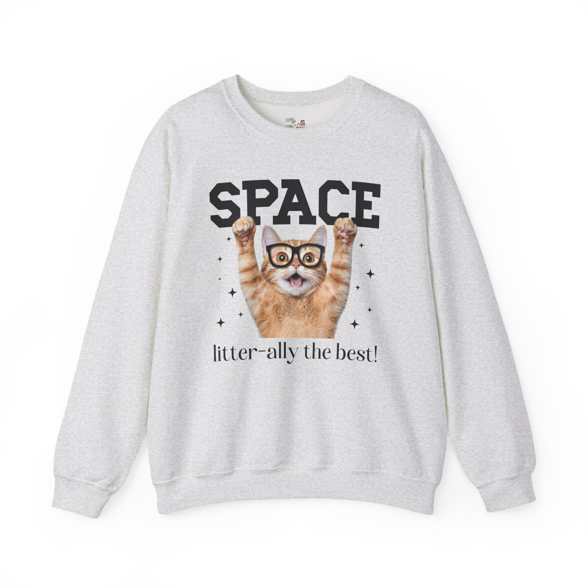 Funny Space Lover Sweatshirt for Astronomy Professor, Cute Science Teacher Crewneck, Cat Lover, Cat Mom or Cat Dad Middle School Teacher Tee - Opal and June
