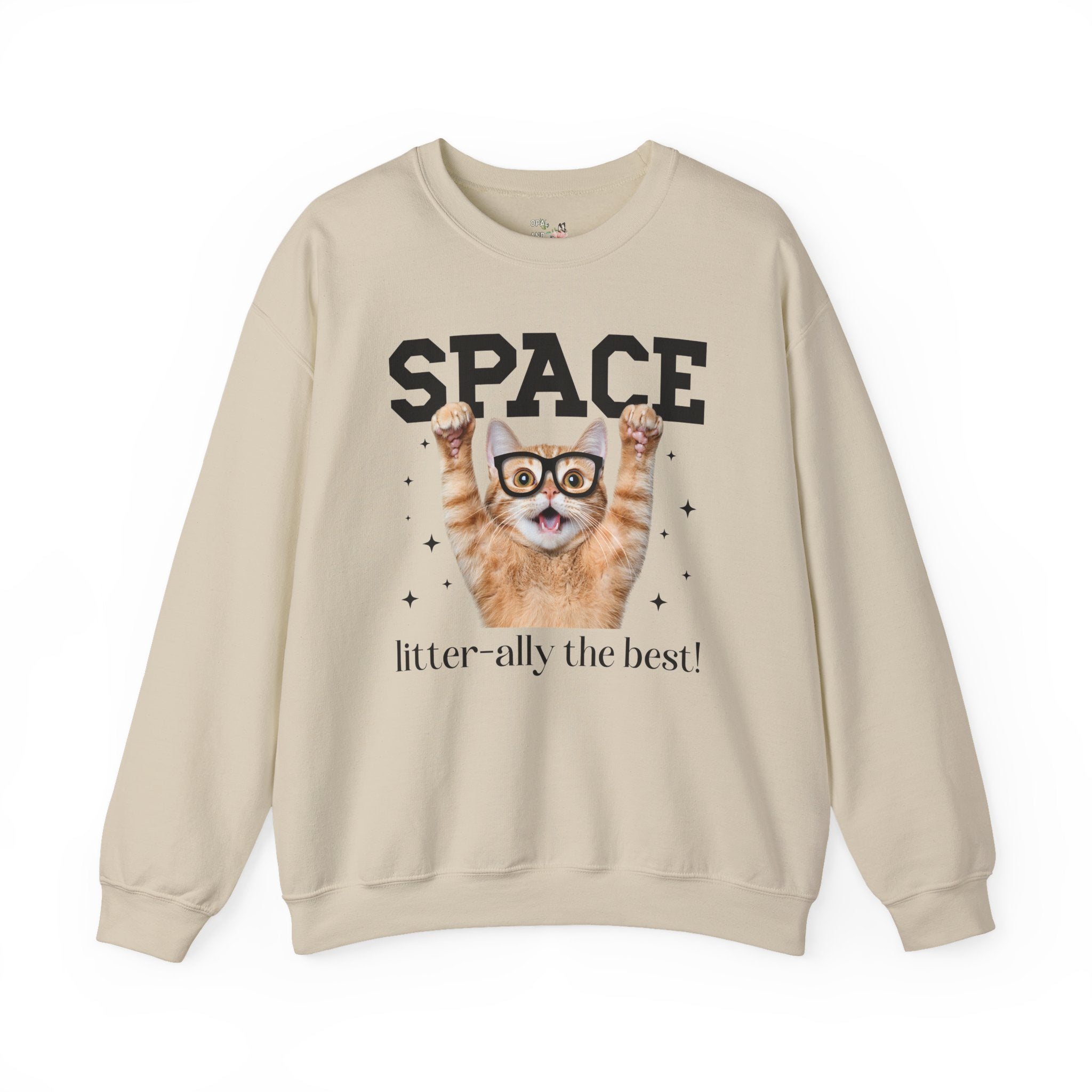 Funny Space Lover Sweatshirt for Astronomy Professor, Cute Science Teacher Crewneck, Cat Lover, Cat Mom or Cat Dad Middle School Teacher Tee - Opal and June