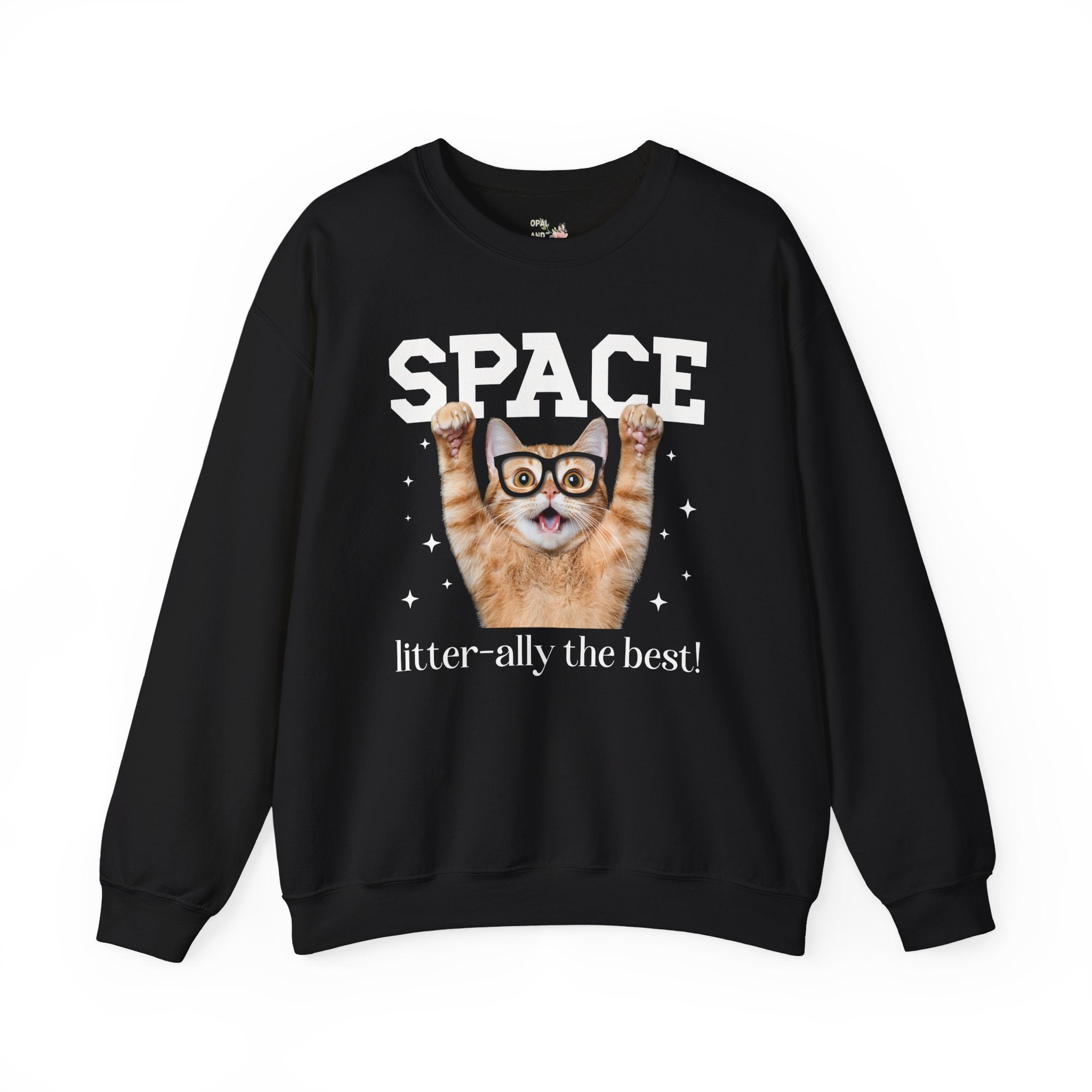 Funny Space Lover Sweatshirt for Astronomy Professor, Cute Science Teacher Crewneck, Cat Lover, Cat Mom or Cat Dad Middle School Teacher Tee - Opal and June