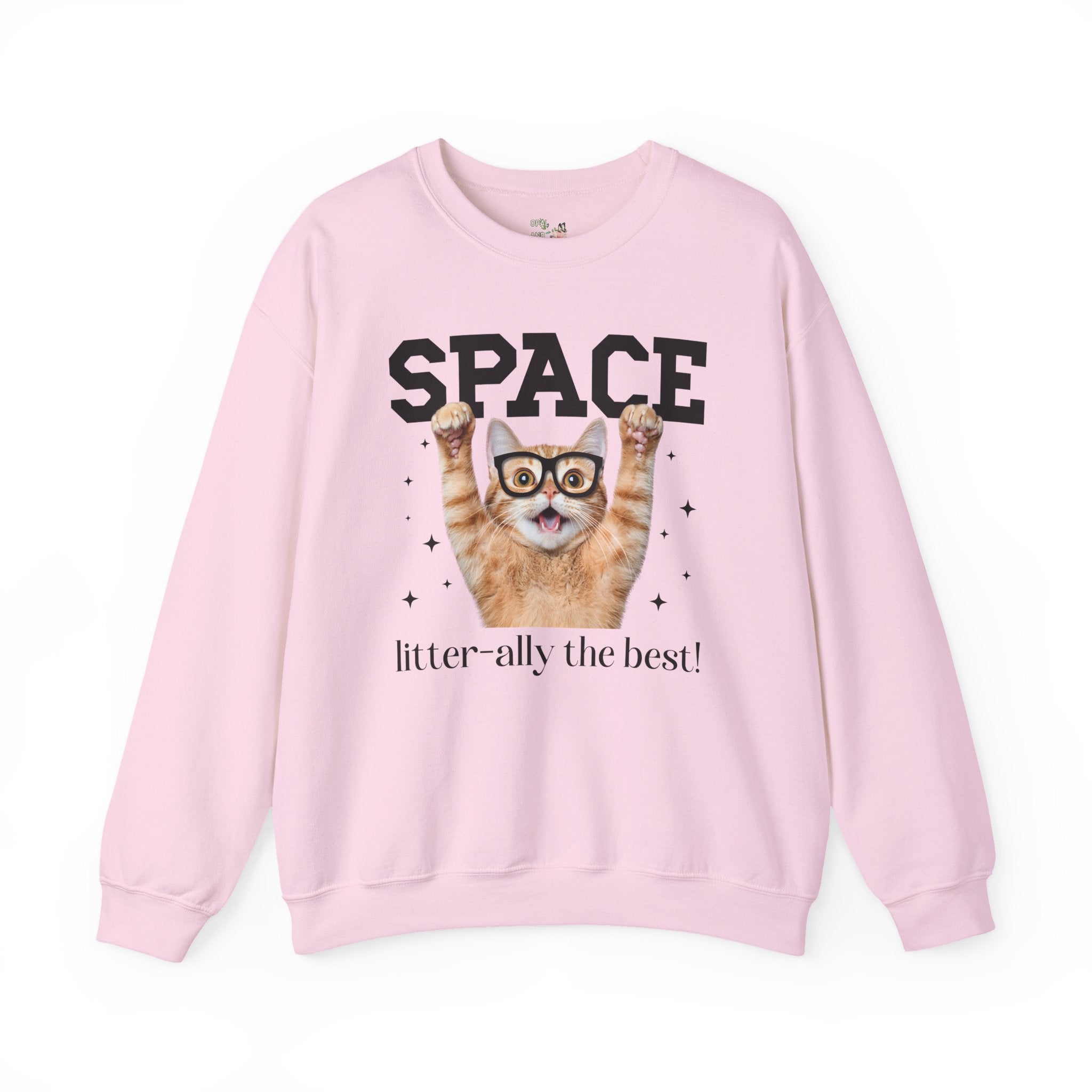Funny Space Lover Sweatshirt for Astronomy Professor, Cute Science Teacher Crewneck, Cat Lover, Cat Mom or Cat Dad Middle School Teacher Tee - Opal and June